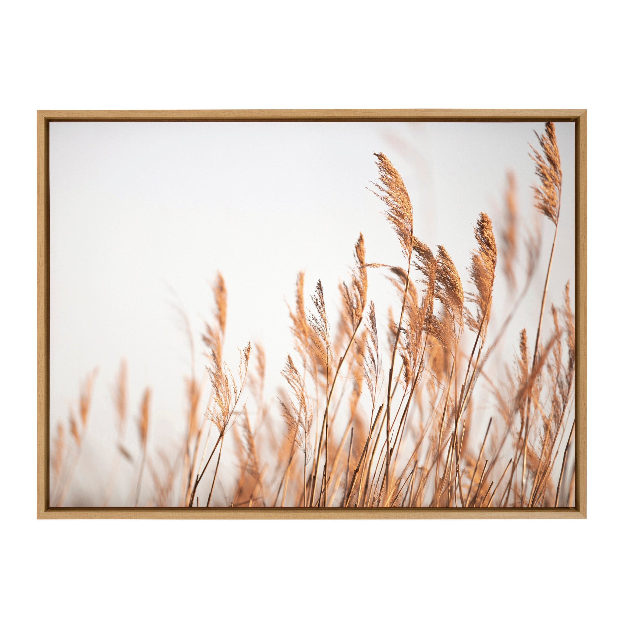 Sylvie Marsh Grass No 4 Framed Canvas by kateandlaurel - product image 2 for Resin Society
