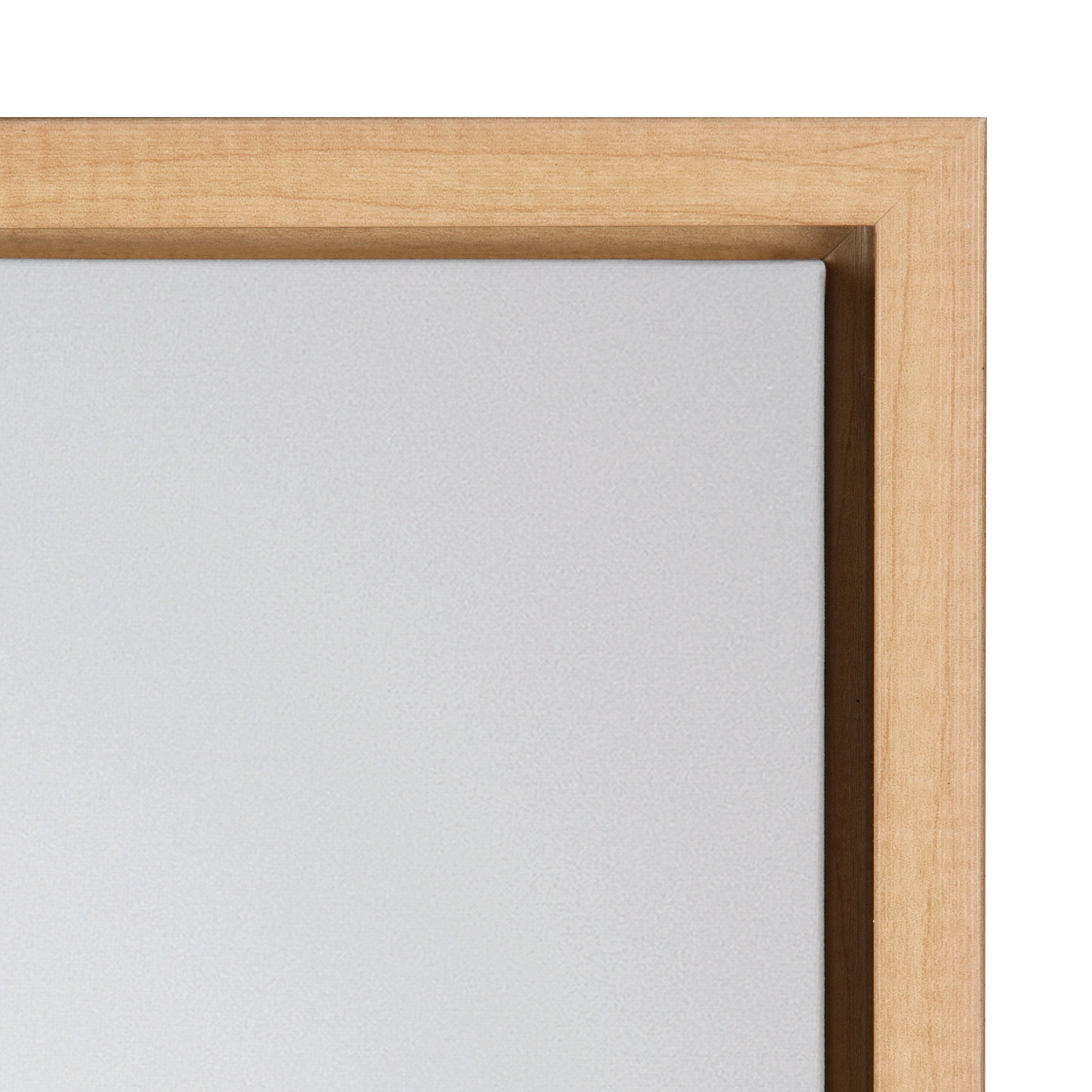 Sylvie Seagull Framed Canvas by Tai Prints by kateandlaurel - product image 3 for Resin Society