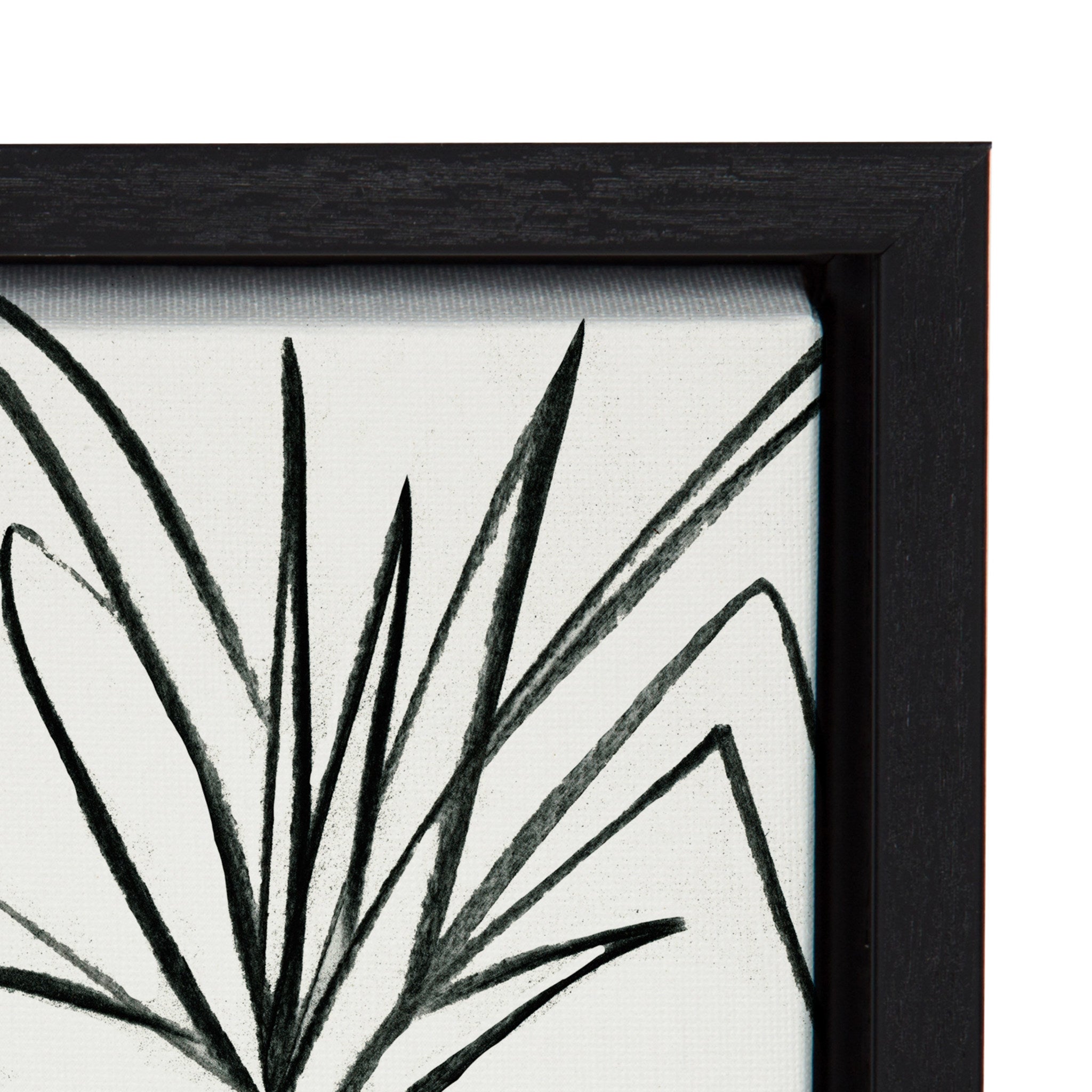 Sylvie Plant Kingdom Framed Canvas by kateandlaurel - product image 3 for Resin Society