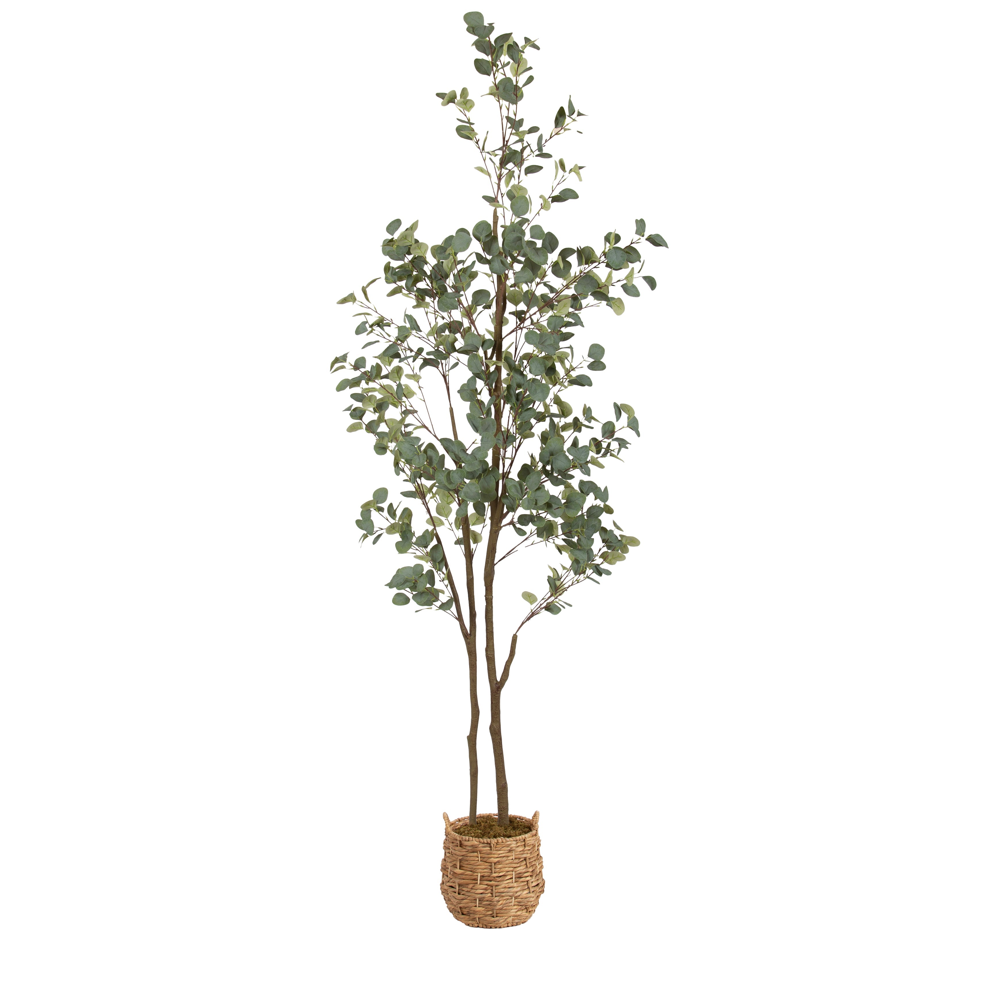 Eudora Faux Eucalyptus Tree - Kate and Laurel