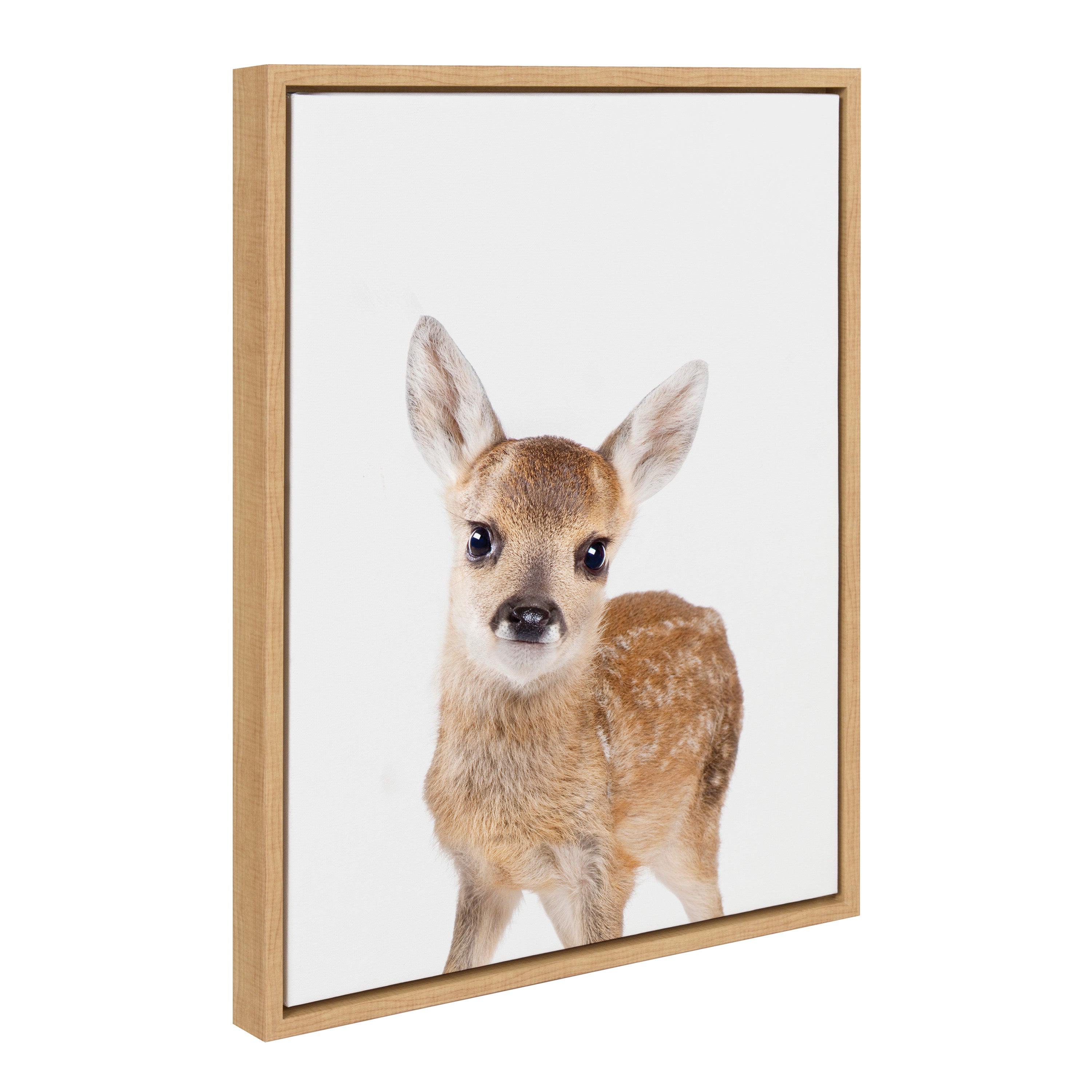 Sylvie Animal Studio Deer Framed Canvas by kateandlaurel - product image 9 for Resin Society