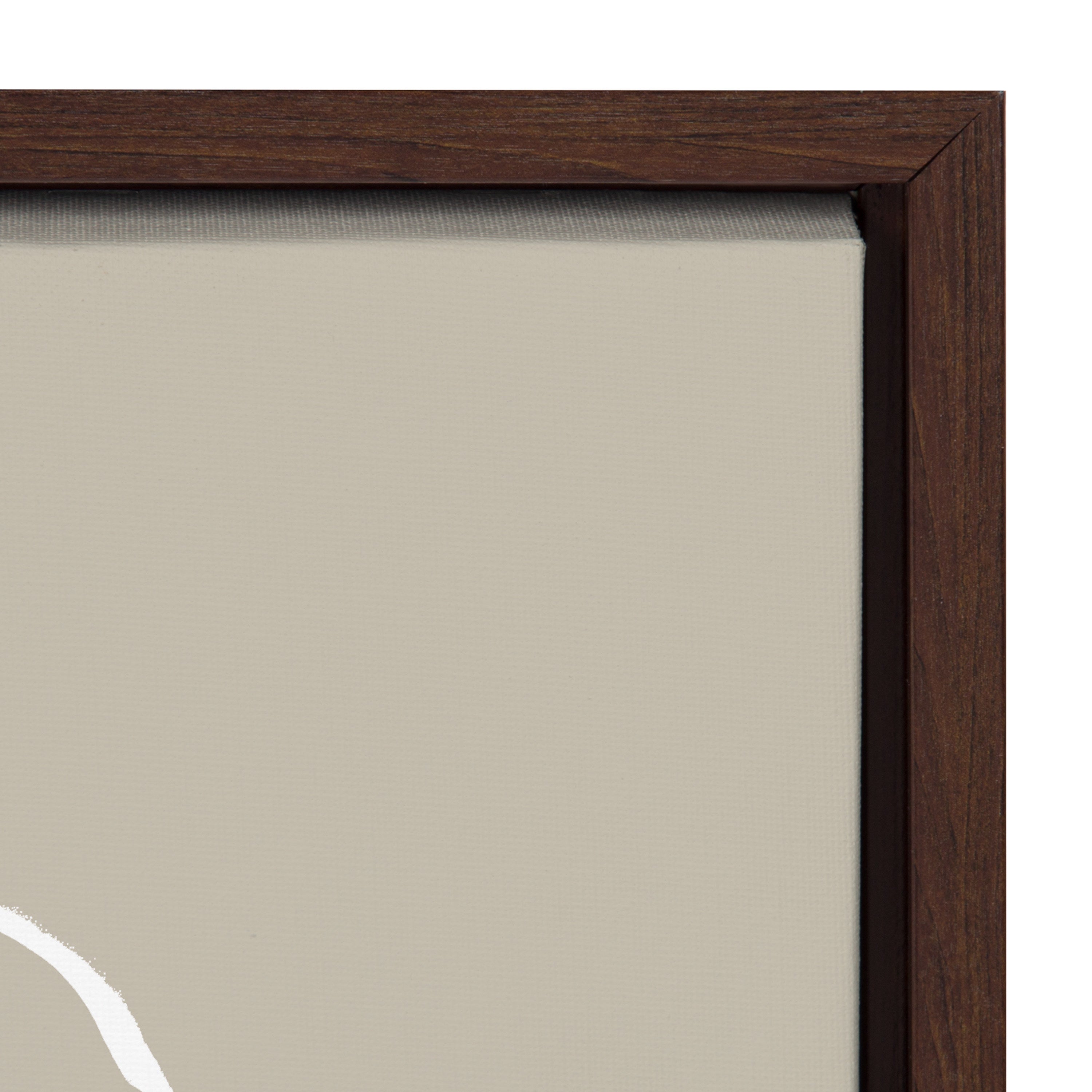 Sylvie Beige Going in Circles Framed Canvas Set by kateandlaurel - product image 3 for Resin Society