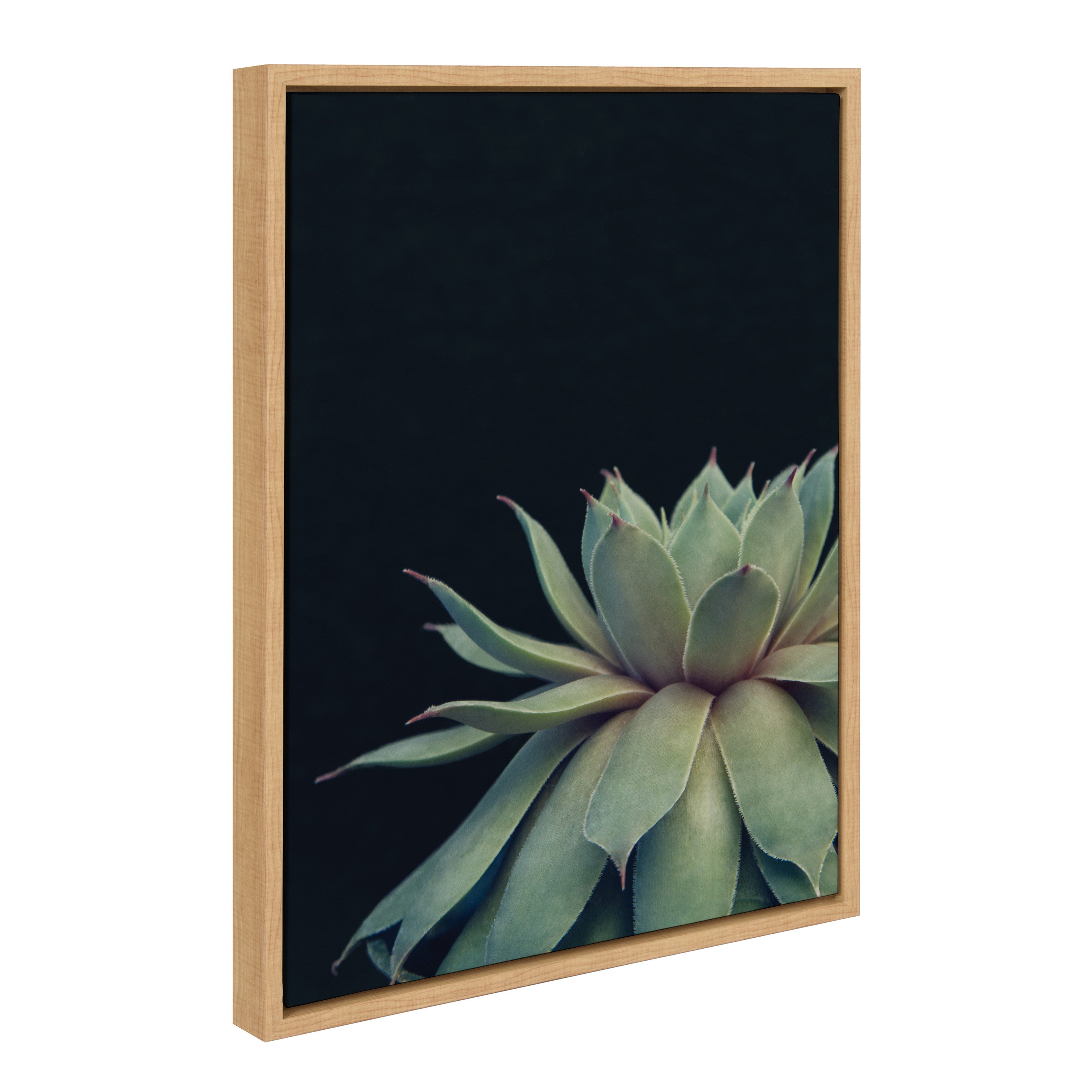 Sylvie Succulent Framed Canvas by F2 Images by kateandlaurel - product image 10 for Resin Society