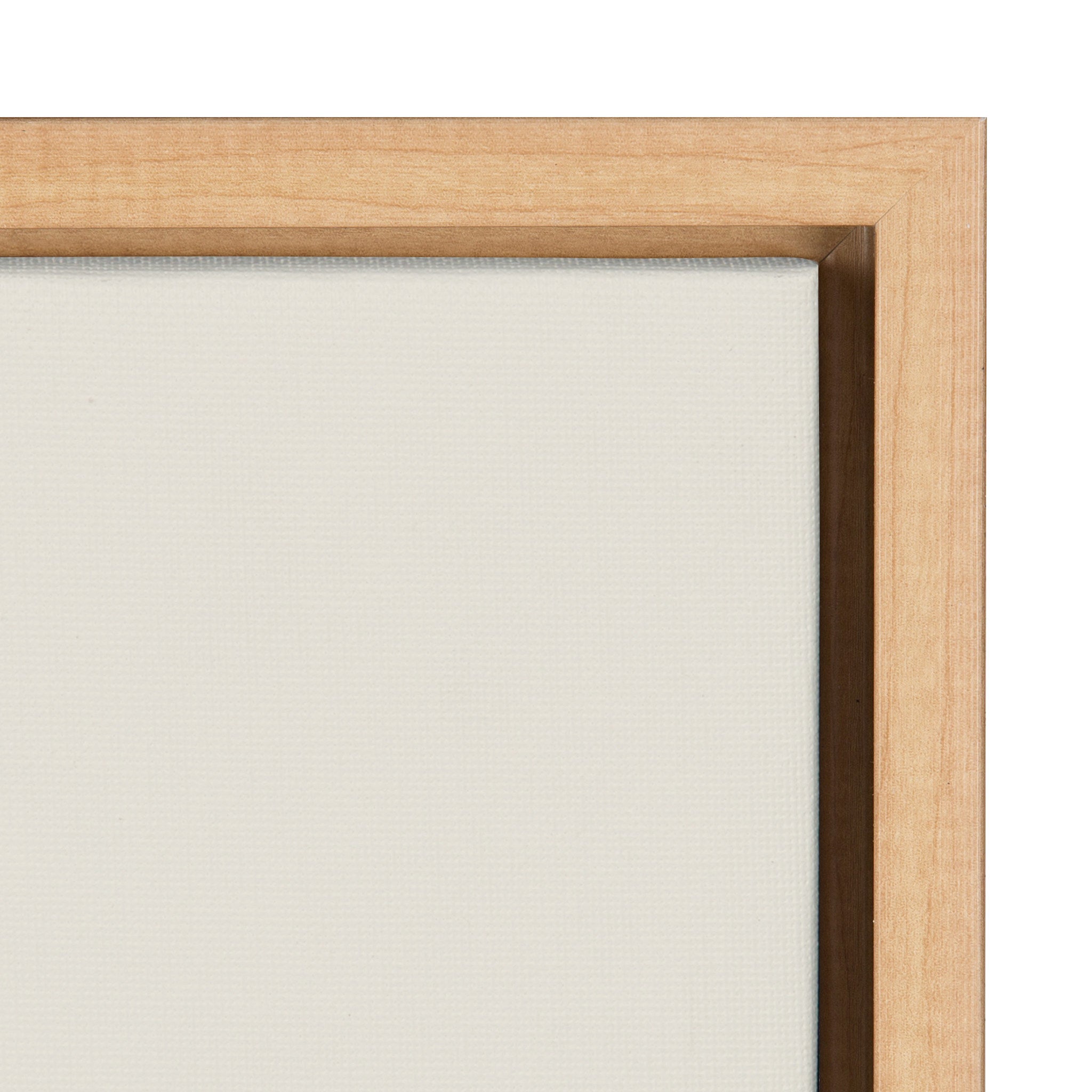 Sylvie Flying Pigs Framed Canvas by kateandlaurel - product image 3 for Resin Society