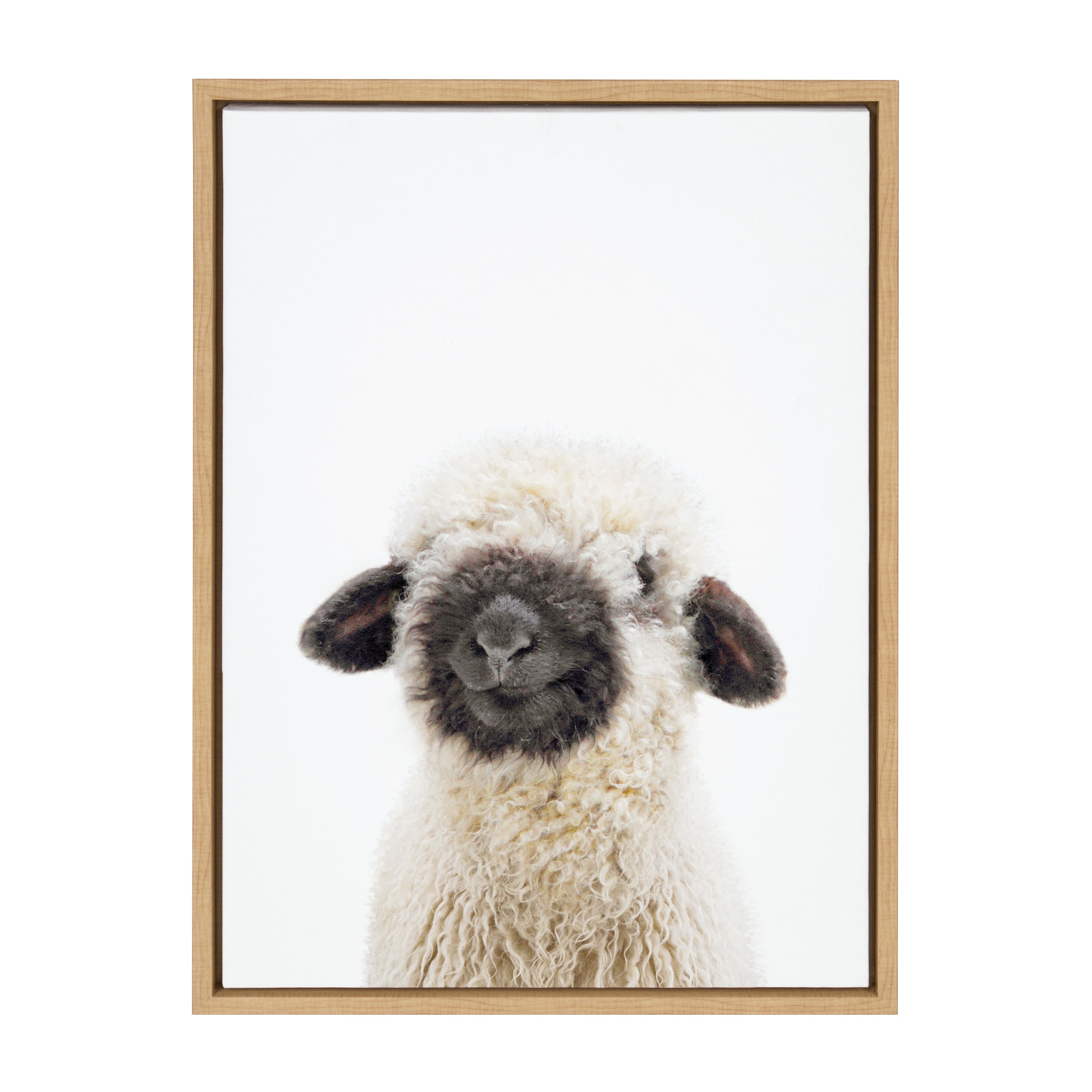 Sylvie Animal Studio Black Nosed Sheep Framed Canvas by Amy Peterson Art Studio