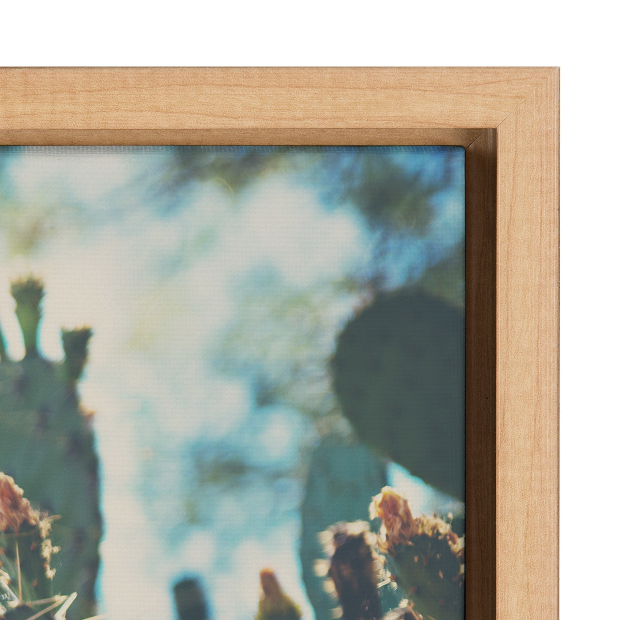 Sylvie A Desert Prickly Pear Cactus Framed Canvas by Laura Evans