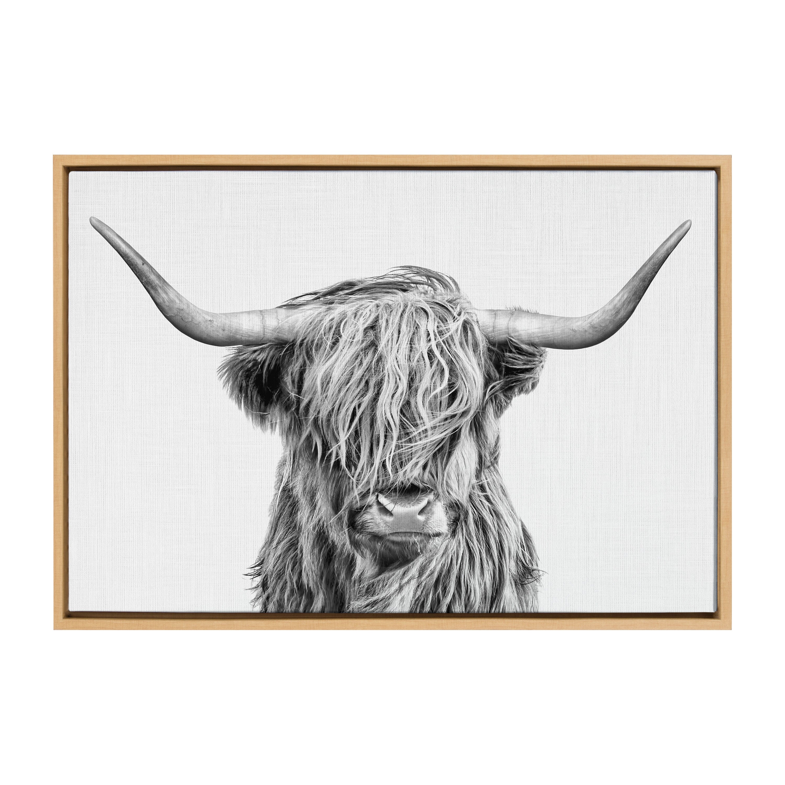 Sylvie Highland Cow 2 Framed Canvas by kateandlaurel - product image 2 for Resin Society