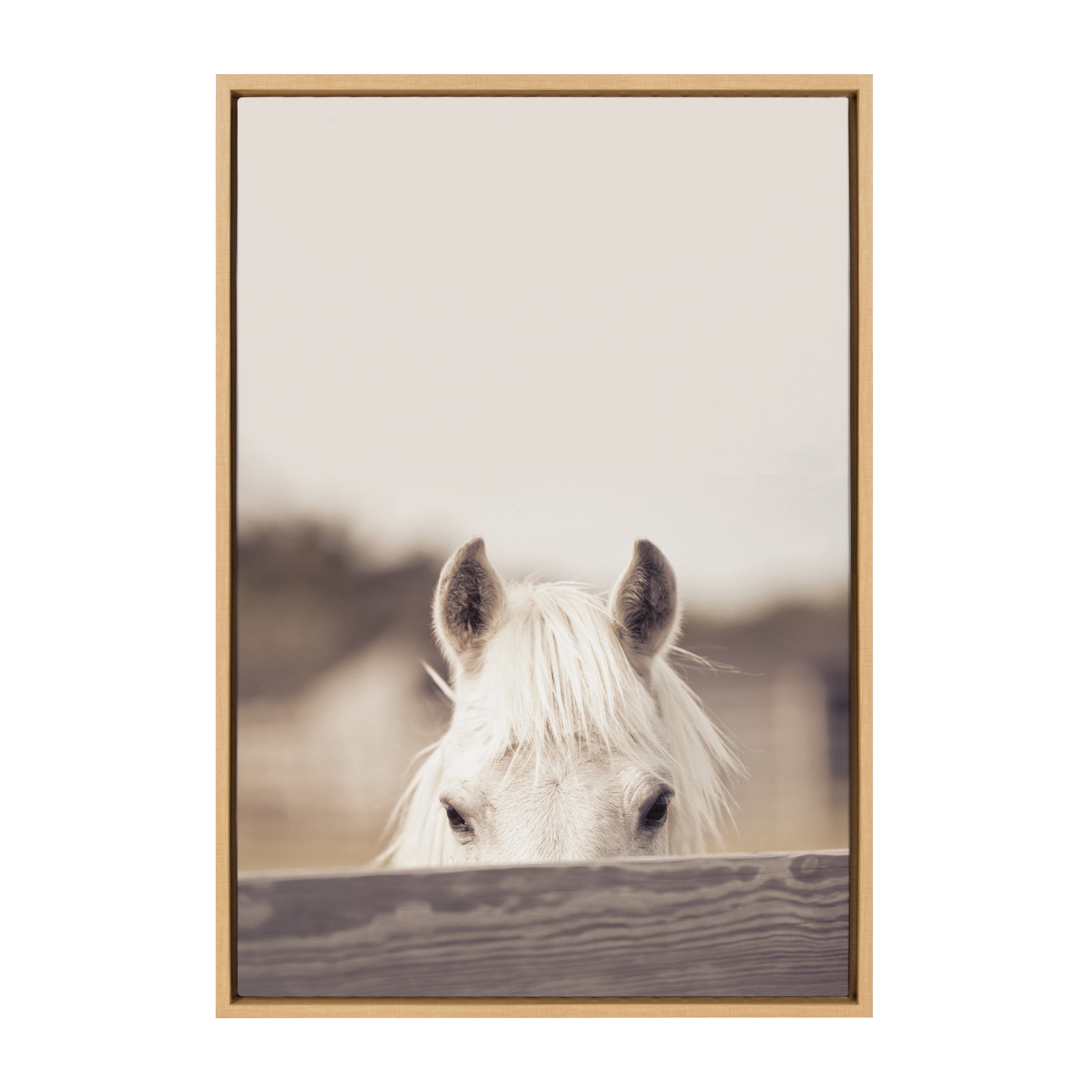 Sylvie Equine Framed Canvas by kateandlaurel - product image 7 for Resin Society