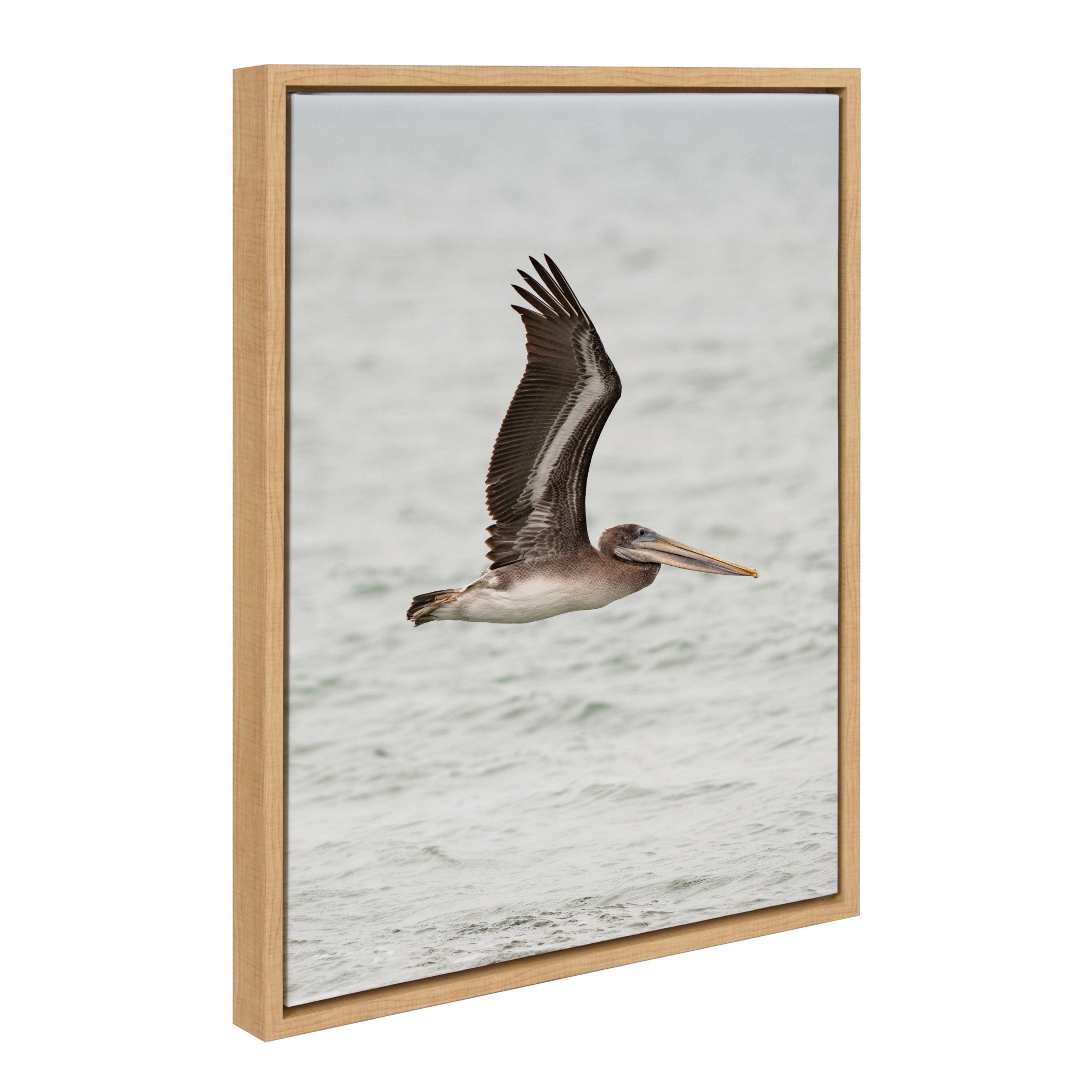 Sylvie Pelican No 1 framed canvas art showing a soft pelican coastal scene