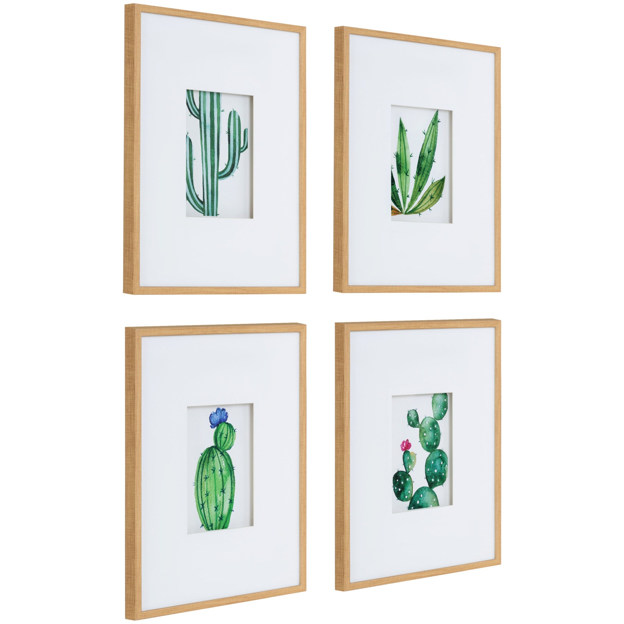 Liev Succulent Framed Print Art Set by kateandlaurel - product image 2 for Resin Society