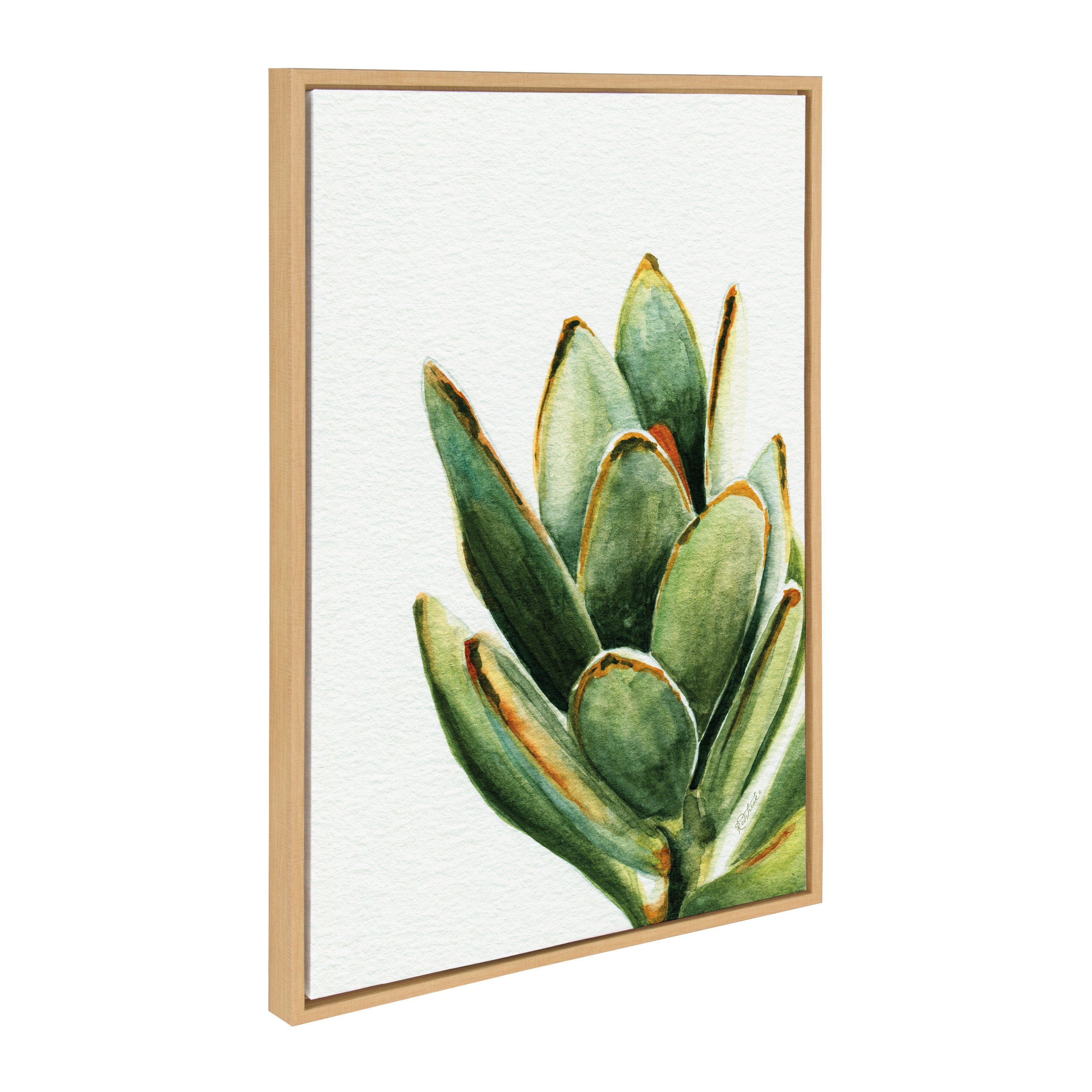 Sylvie Succulent 18 Framed Canvas by kateandlaurel - product image 2 for Resin Society