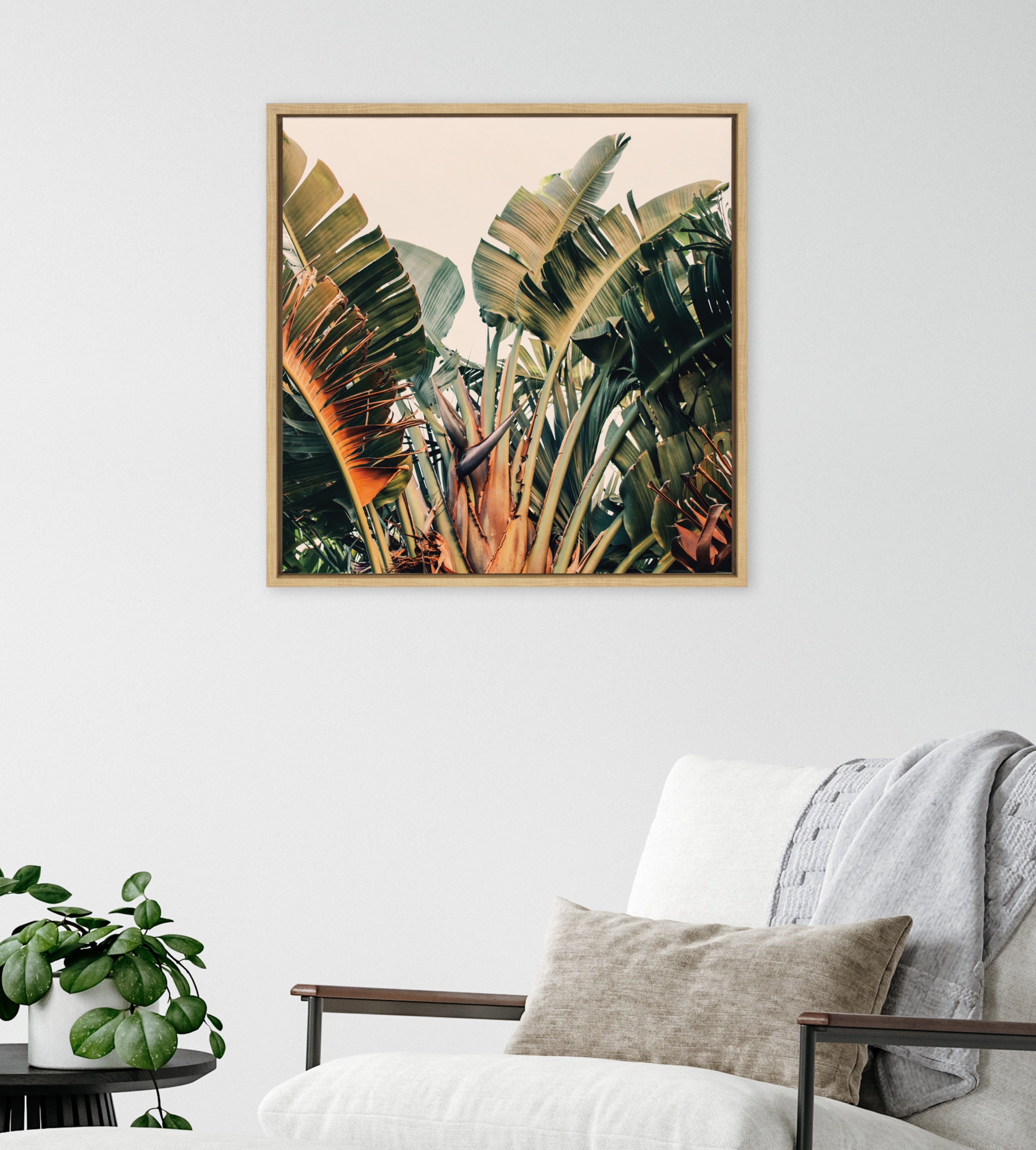 Sylvie Hue 2 Framed Canvas by Alicia Bock