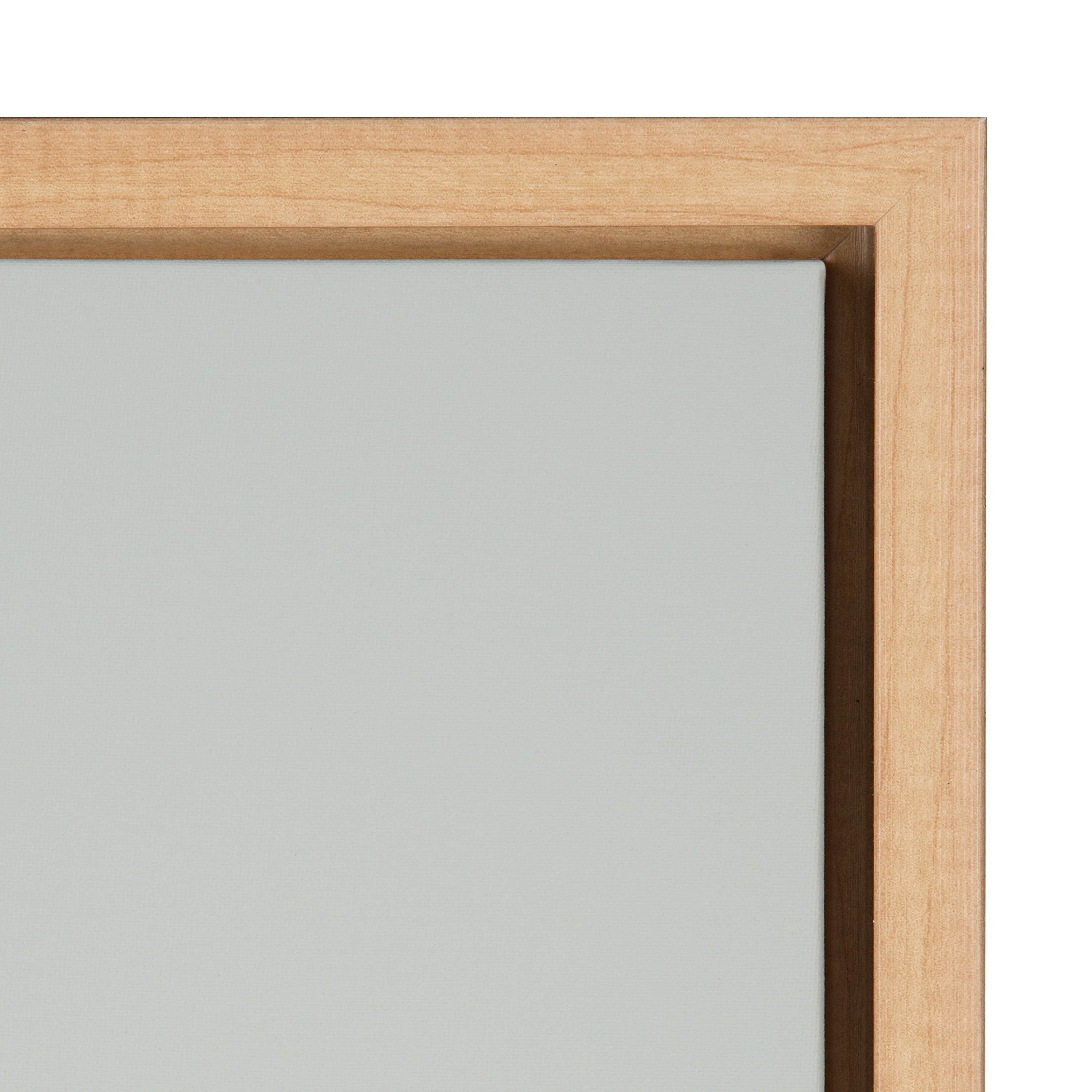 Sylvie Galah Framed Canvas by kateandlaurel - product image 3 for Resin Society