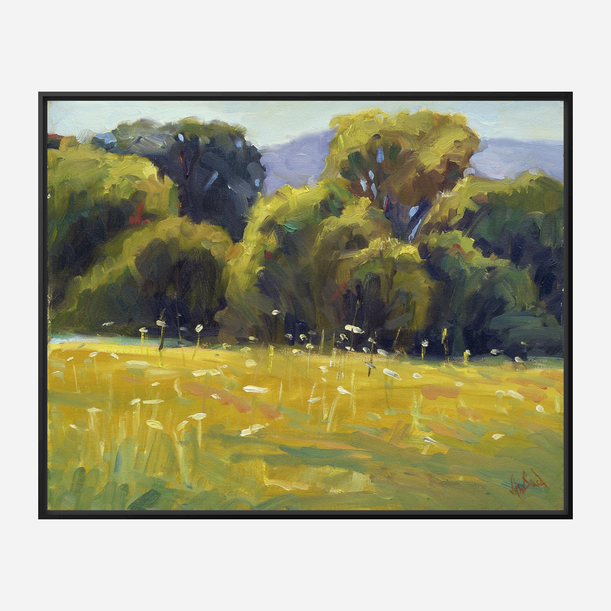 Queen Anne's Lace Artist Enhanced Canvas Print by John Beard Collection - product image 5 for Resin Society