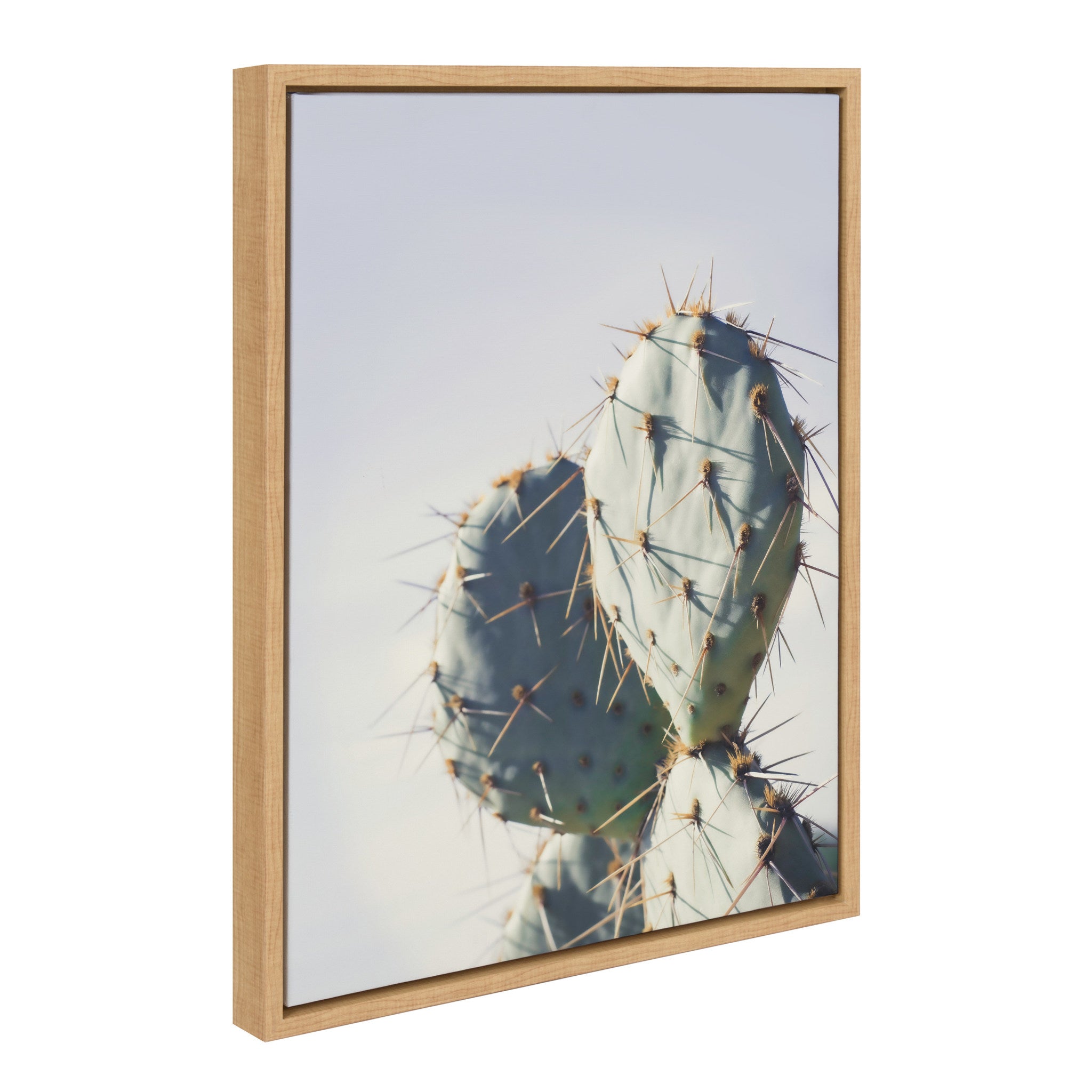 Sylvie Cactus Sky 4-Piece Pastel Cactus Framed Canvas Art Set by Stephanie Klatt