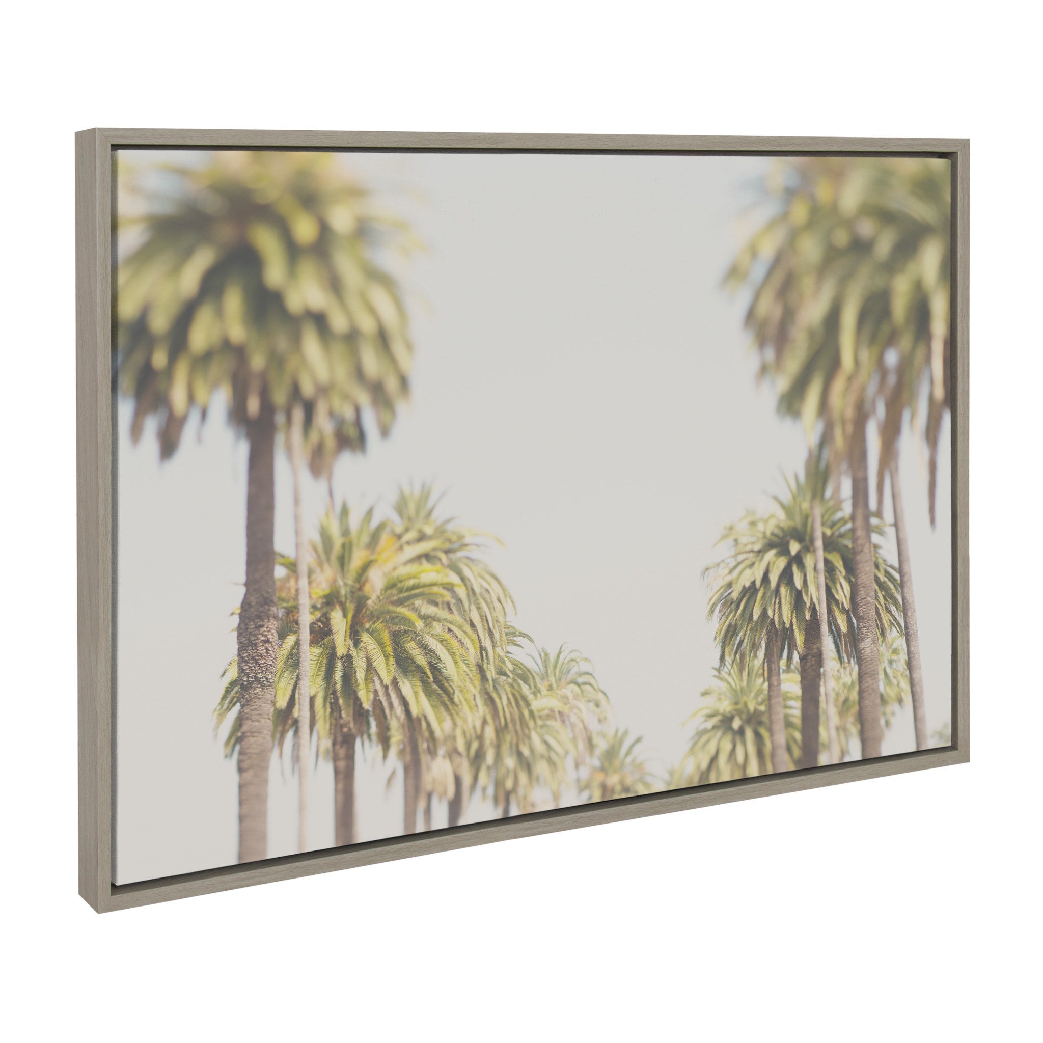Sylvie LA California Palm Trees Framed Canvas by Laura Evans by kateandlaurel - product image 2 for Resin Society