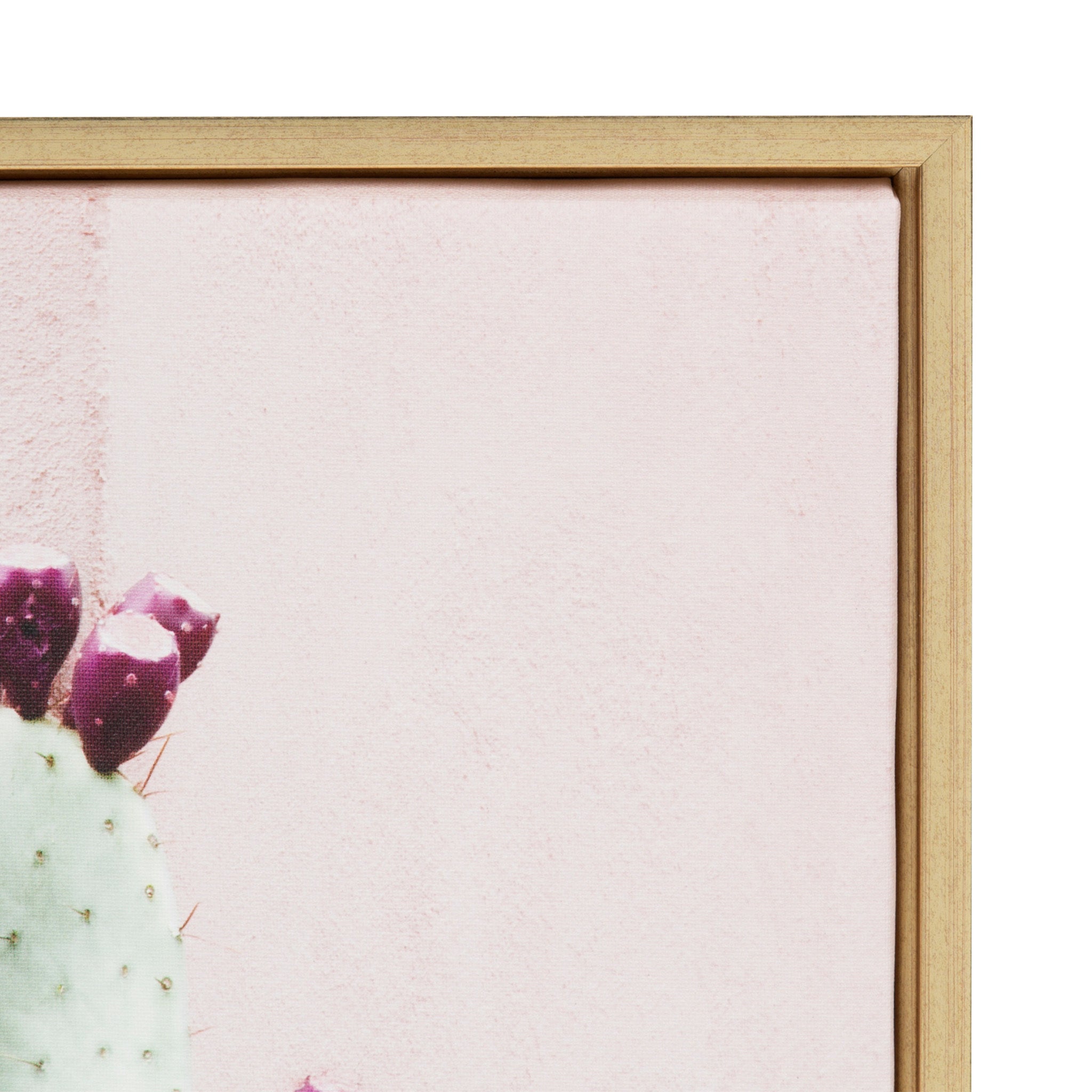 Sylvie Cactus 25 Framed Canvas by Amy Peterson by kateandlaurel - product image 3 for Resin Society