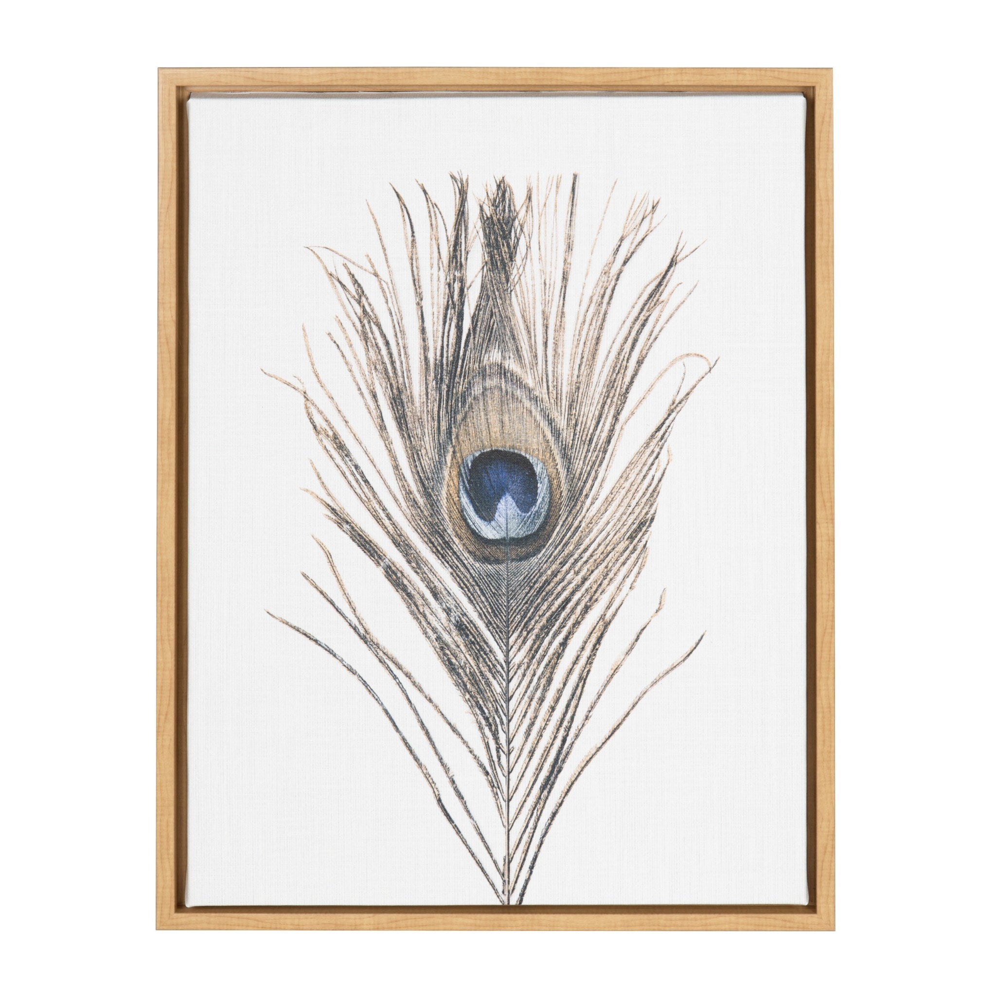 Sylvie Peacock Feather Framed Canvas by Simon Te showing a delicate peacock feather print in a gold frame