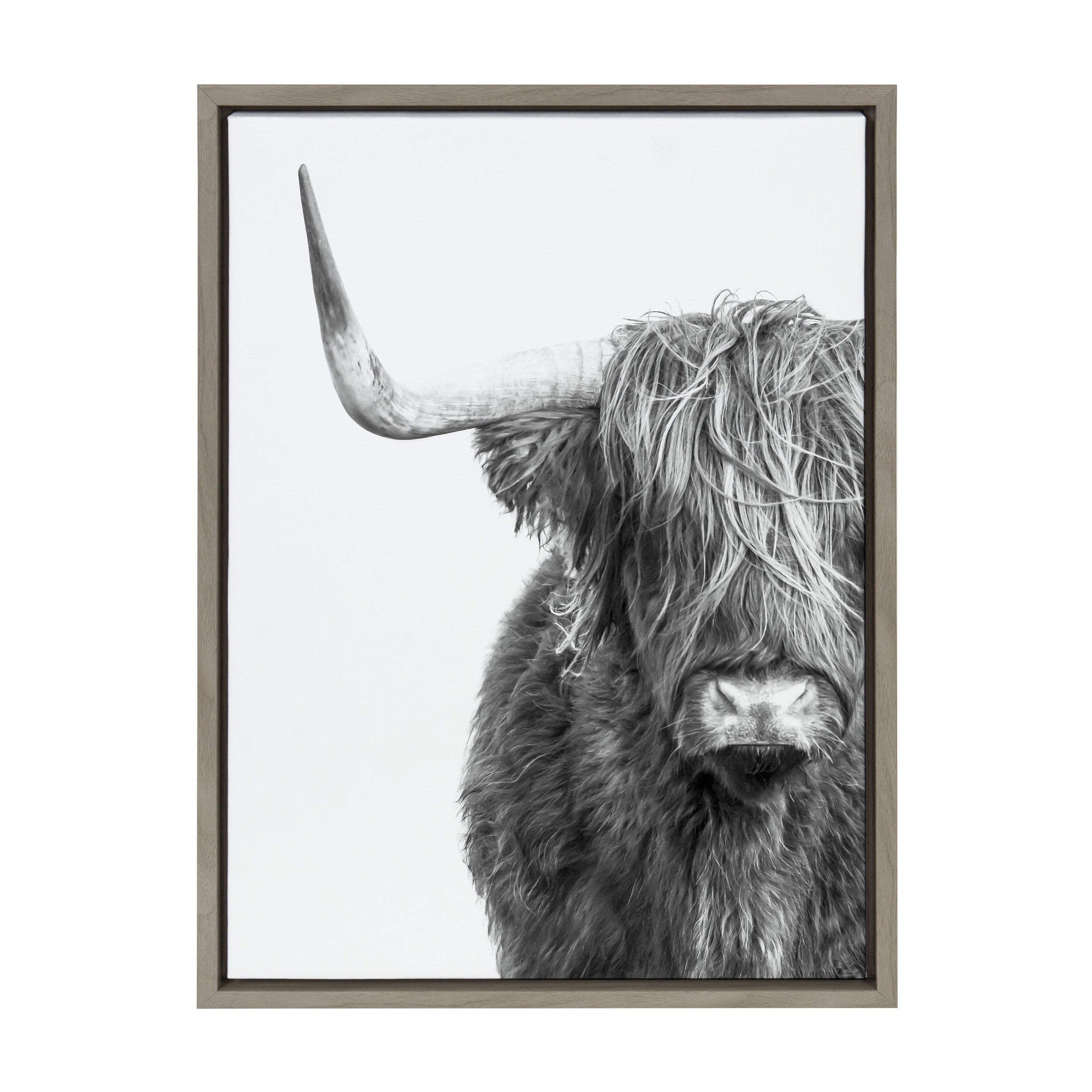 Sylvie B&W Highland Cow No. 1 Framed Canvas by Amy Peterson Art Studio