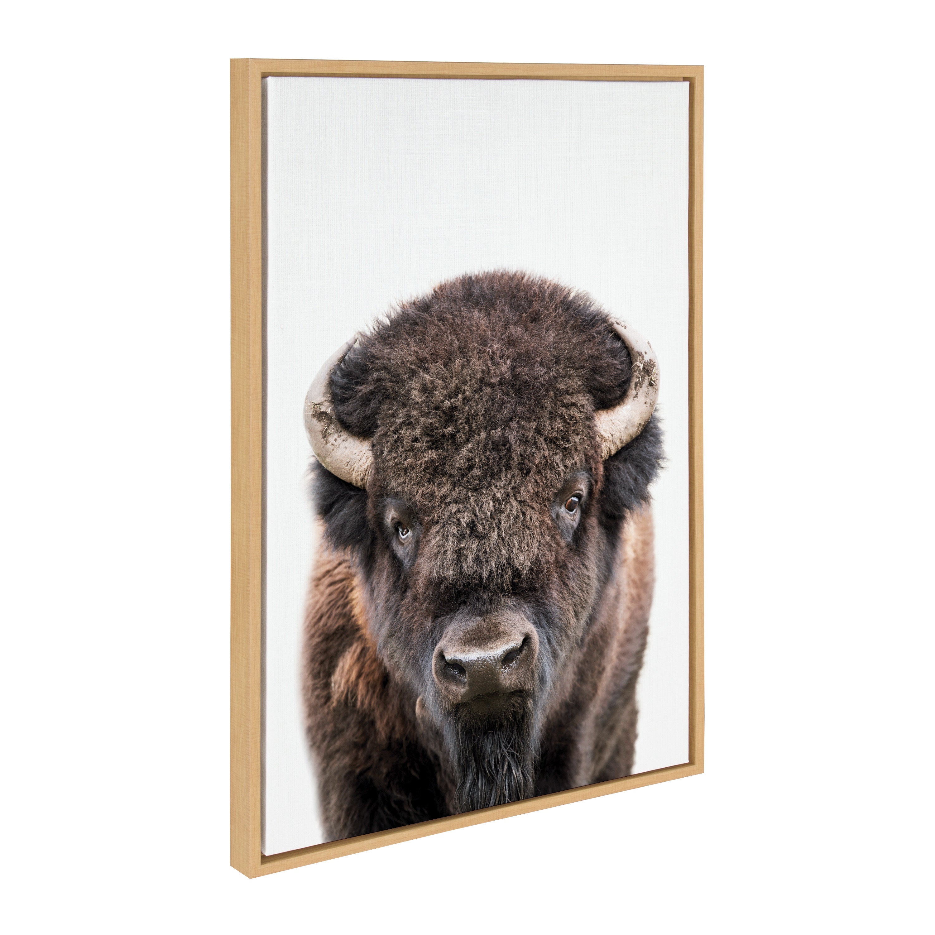 Sylvie Bison Portrait Framed Canvas by Amy Peterson Art Studio