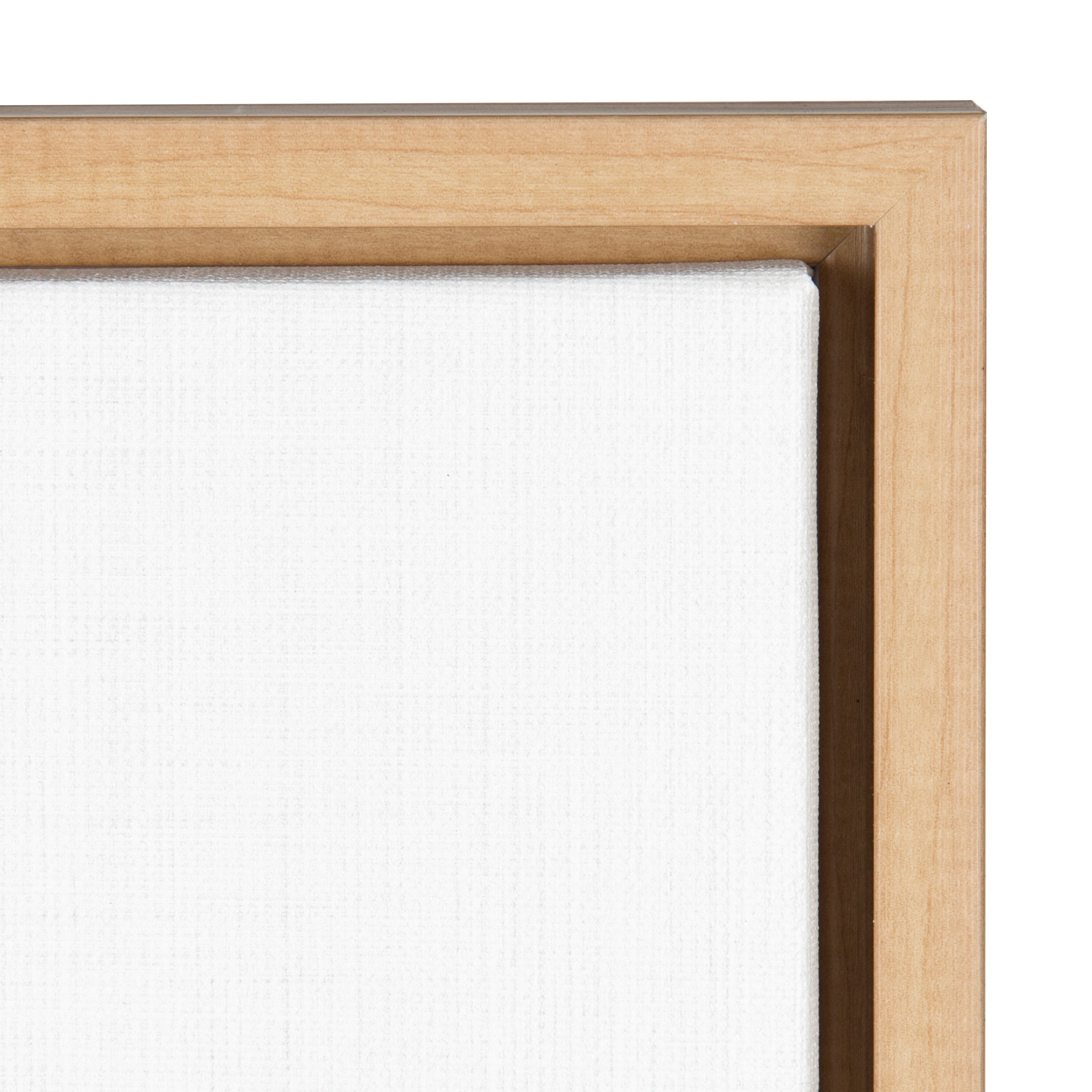 Sylvie Raccoon Framed Canvas by Simon Te Tai by kateandlaurel - product image 13 for Resin Society