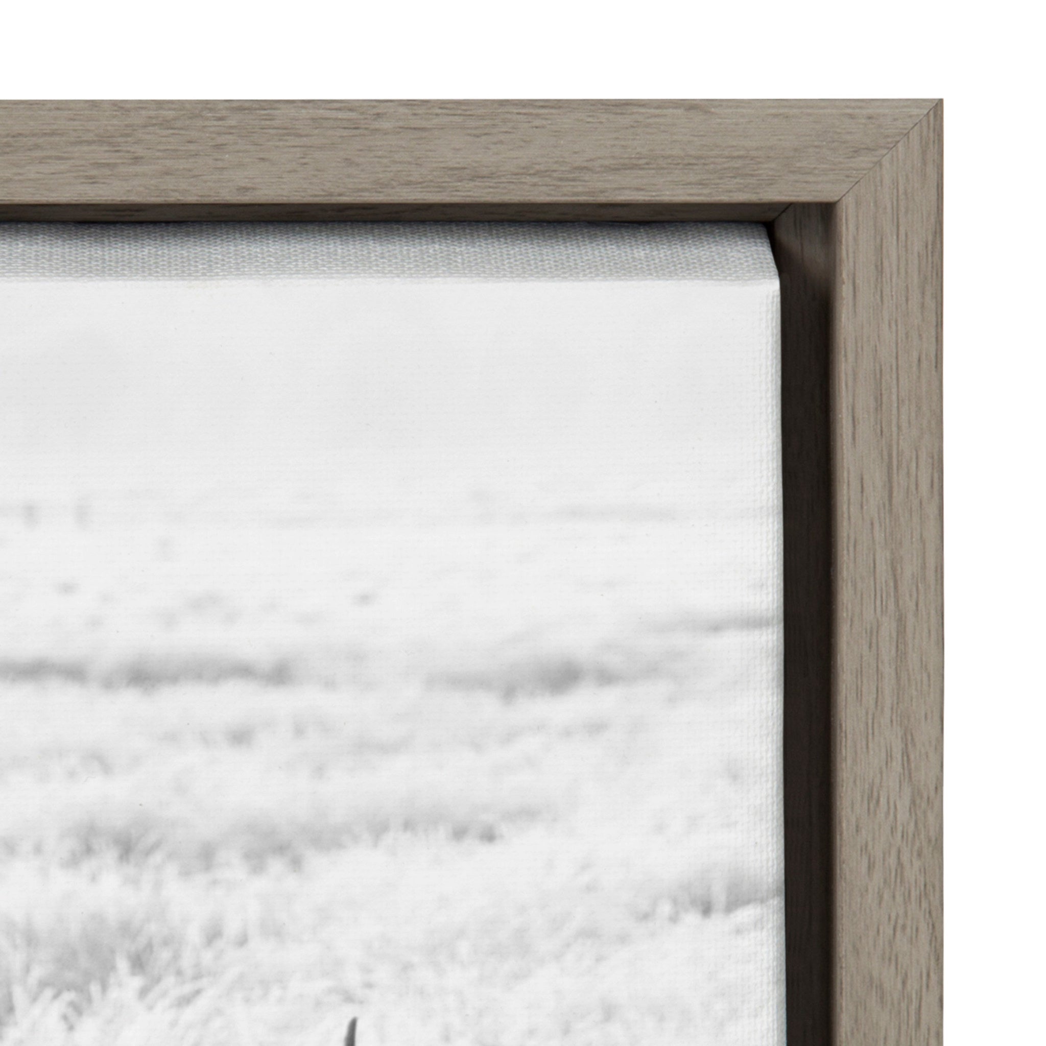 Sylvie Herd of Highland Cows Black and White Framed Canvas by The by kateandlaurel - product image 6 for Resin Society
