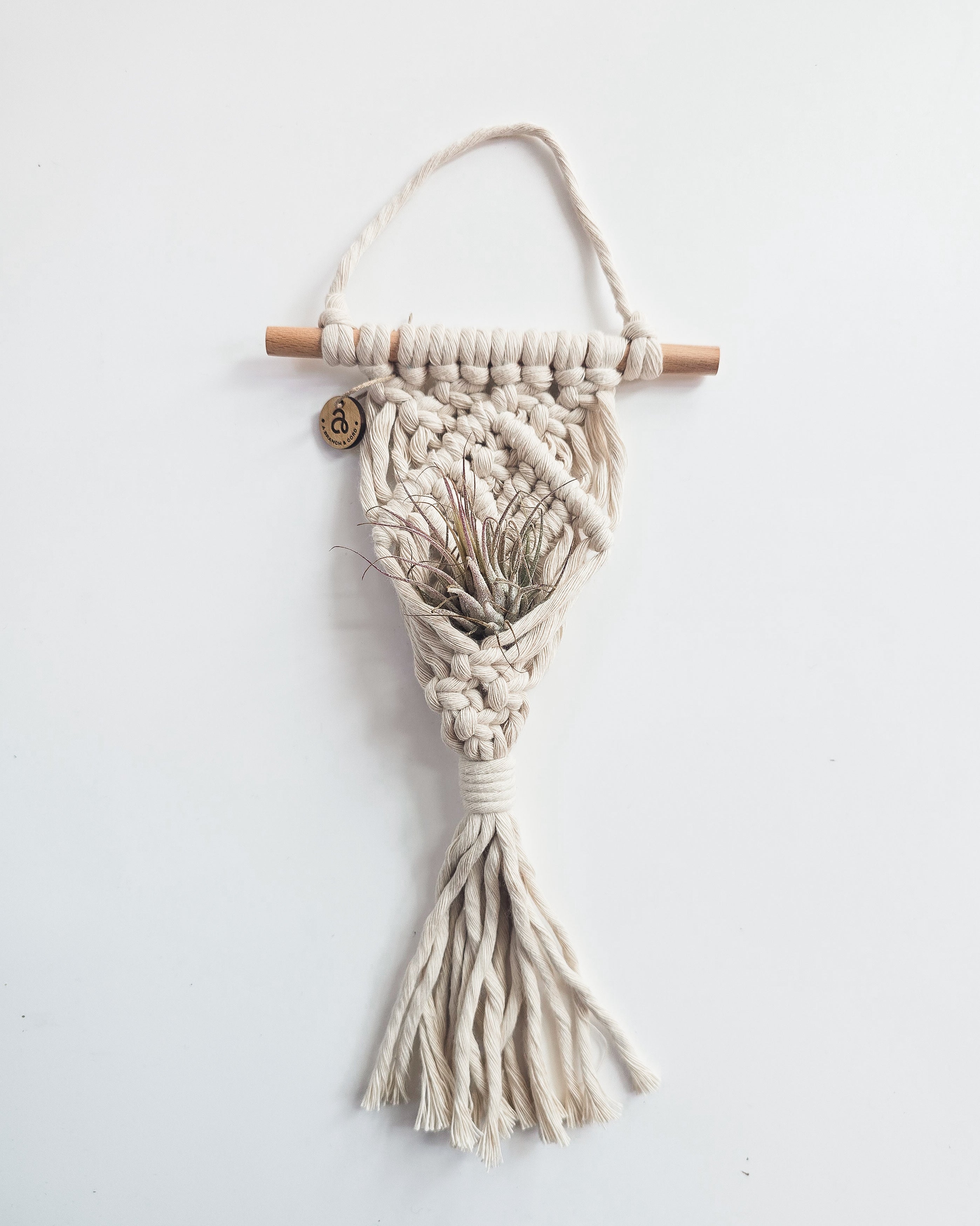 Macrame Air Plant Hanger by A Branch & Cord