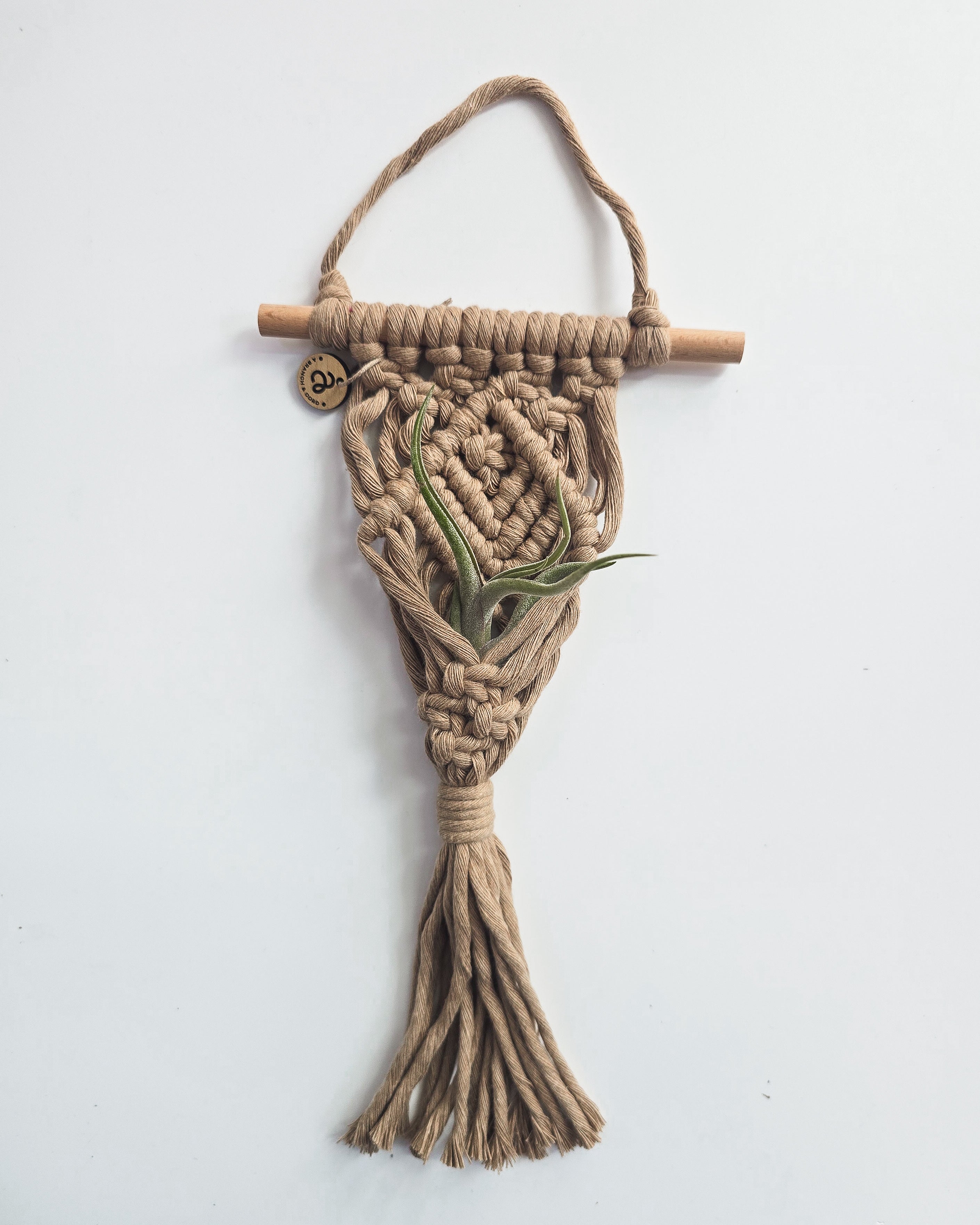 Macrame Air Plant Hanger by A Branch & Cord
