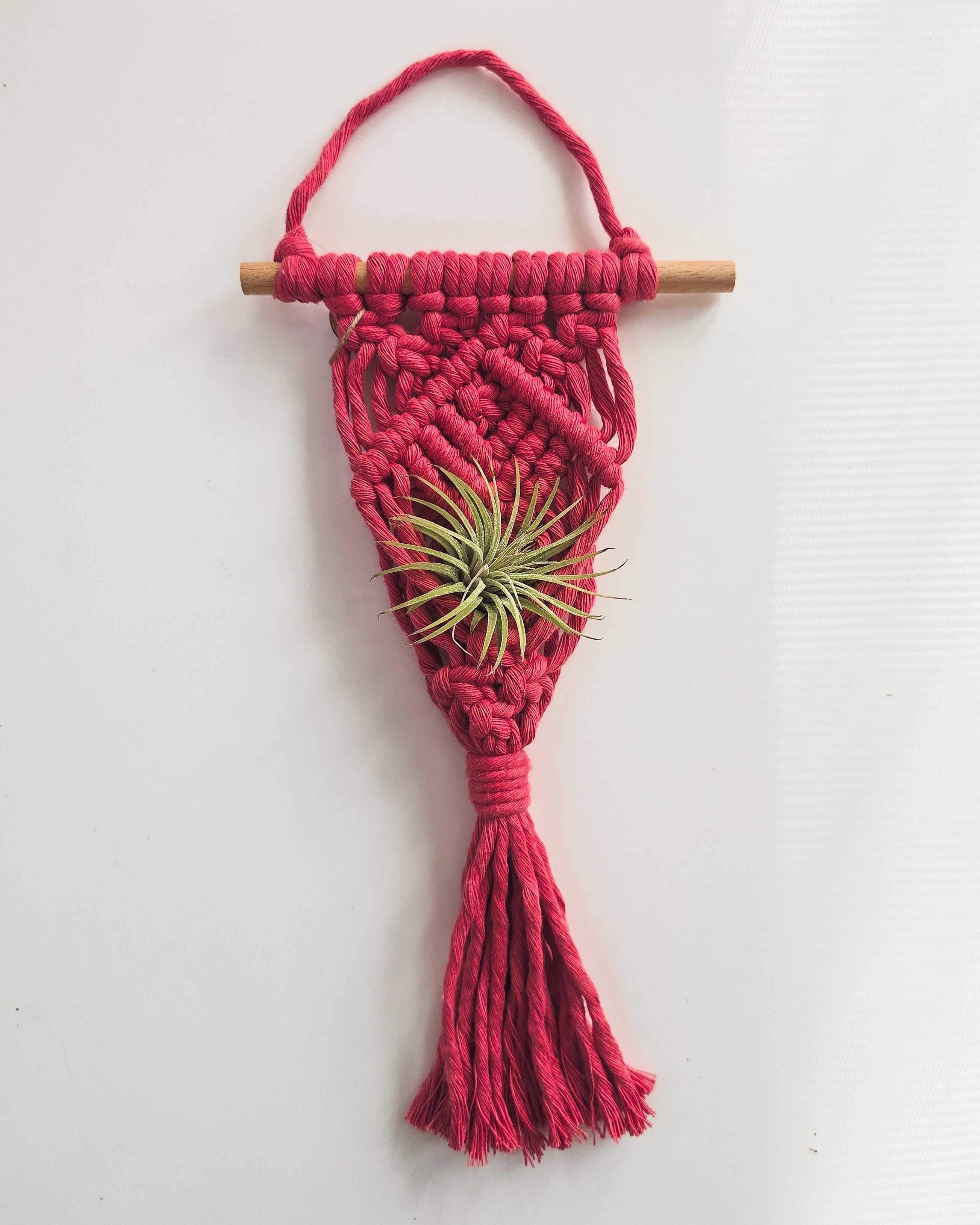 Macrame Air Plant Hanger by A Branch & Cord
