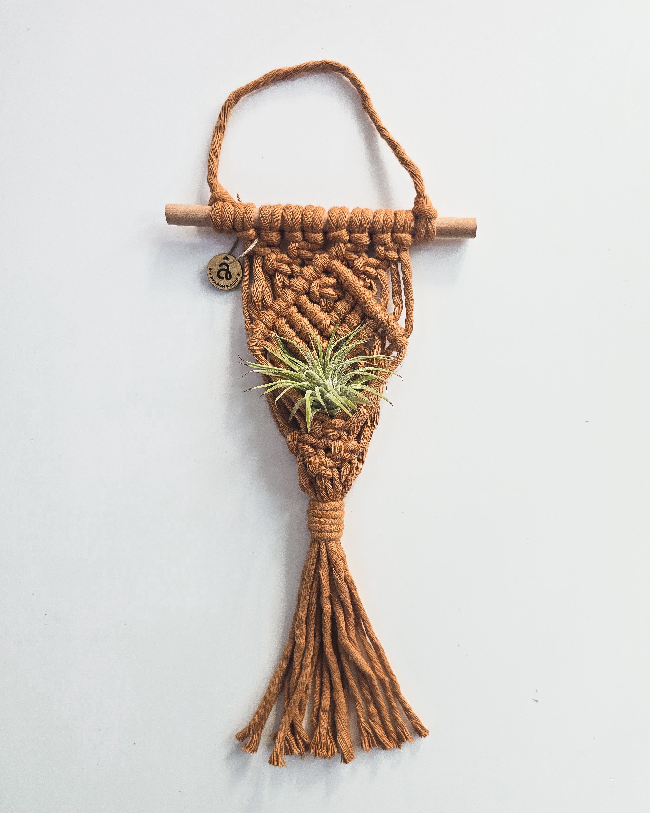 Macrame Air Plant Hanger by A Branch & Cord