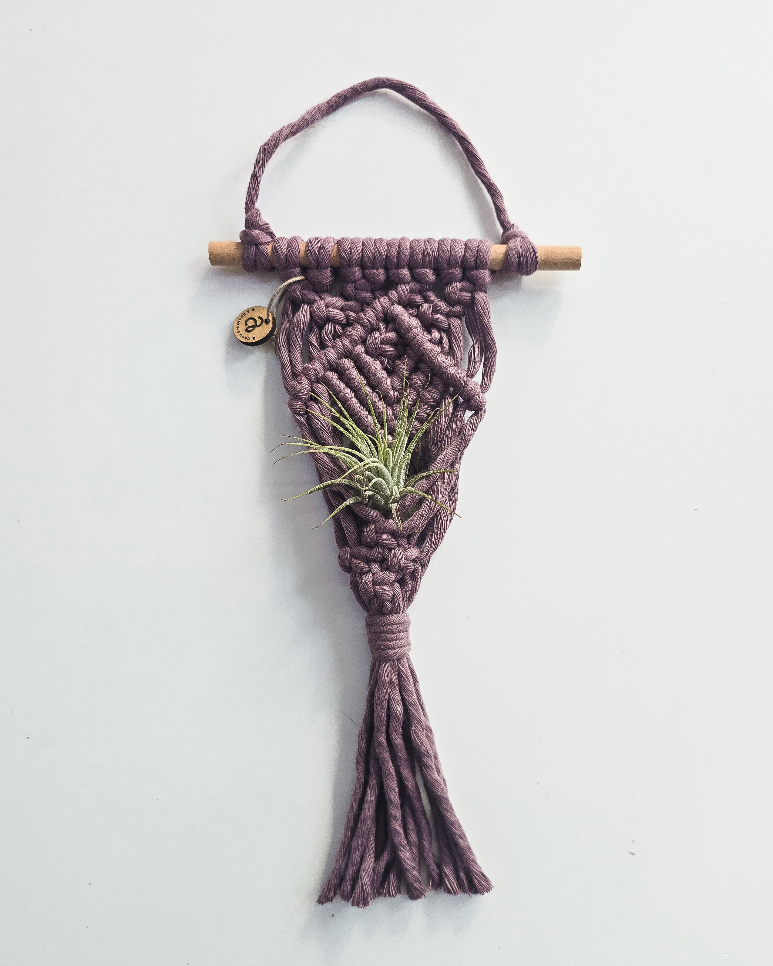 Macrame Air Plant Hanger by A Branch & Cord