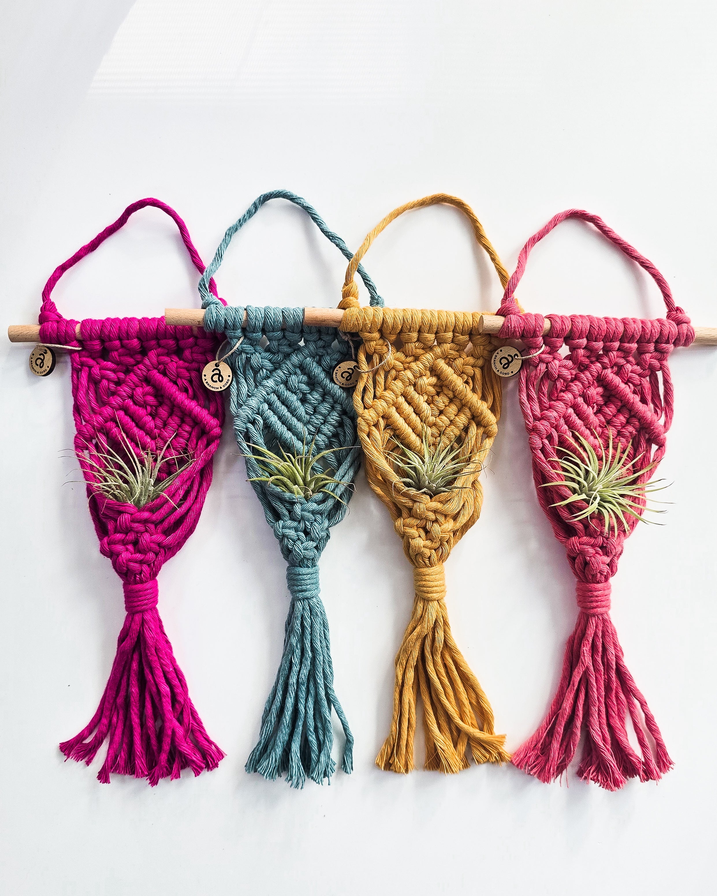 Macrame Air Plant Hanger in natural color holding a green air plant