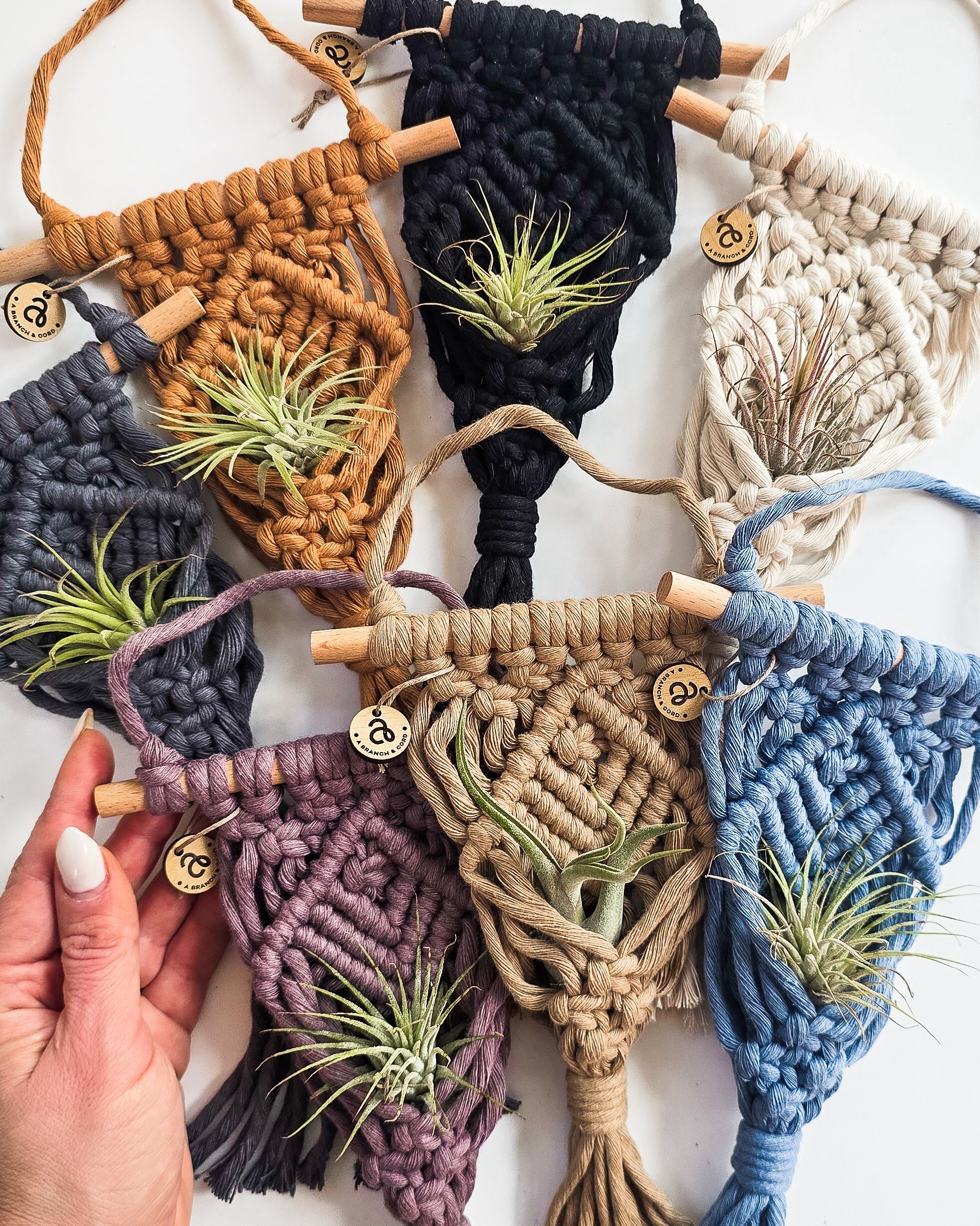 Macrame Air Plant Hanger by A Branch & Cord