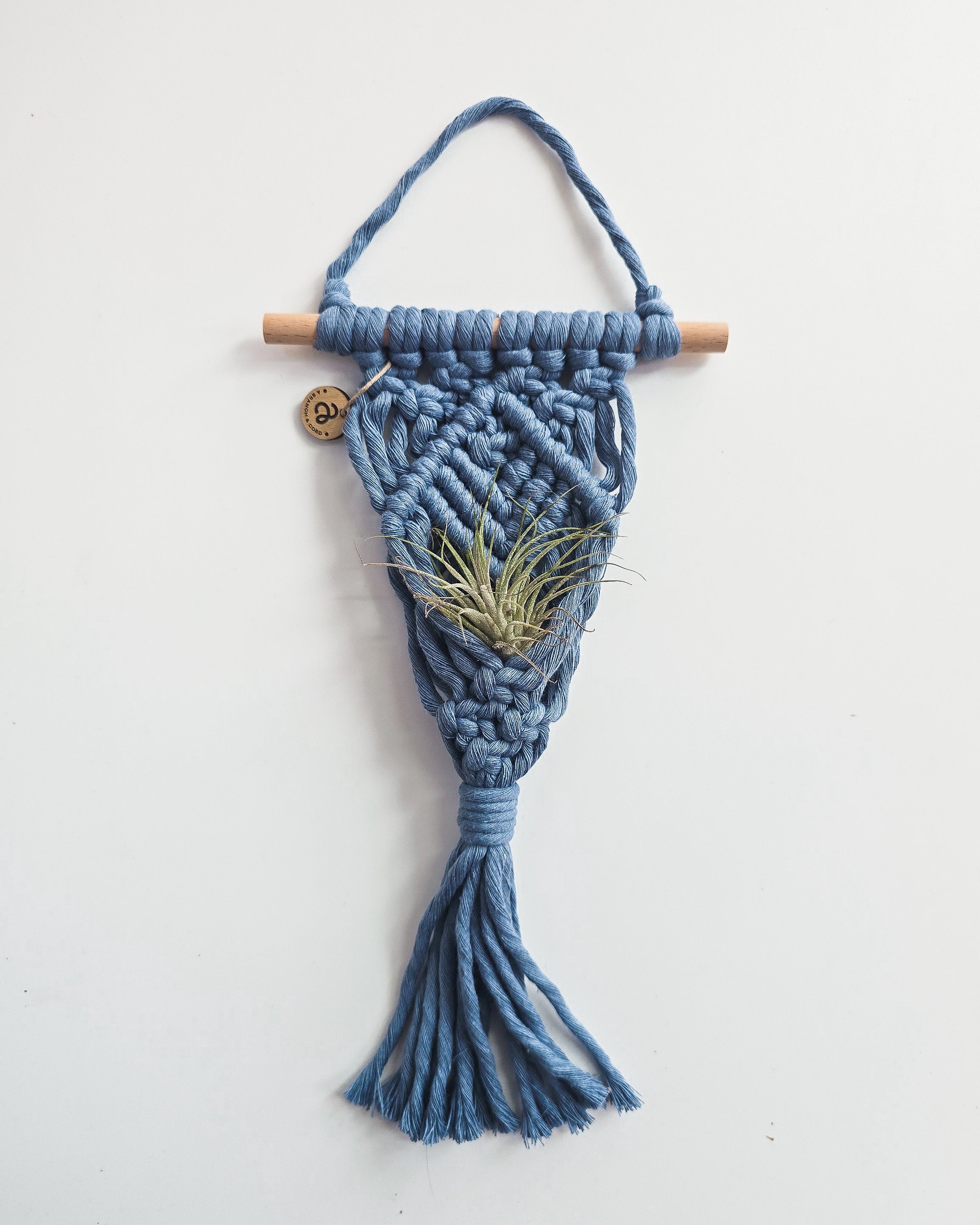 Macrame Air Plant Hanger by A Branch & Cord