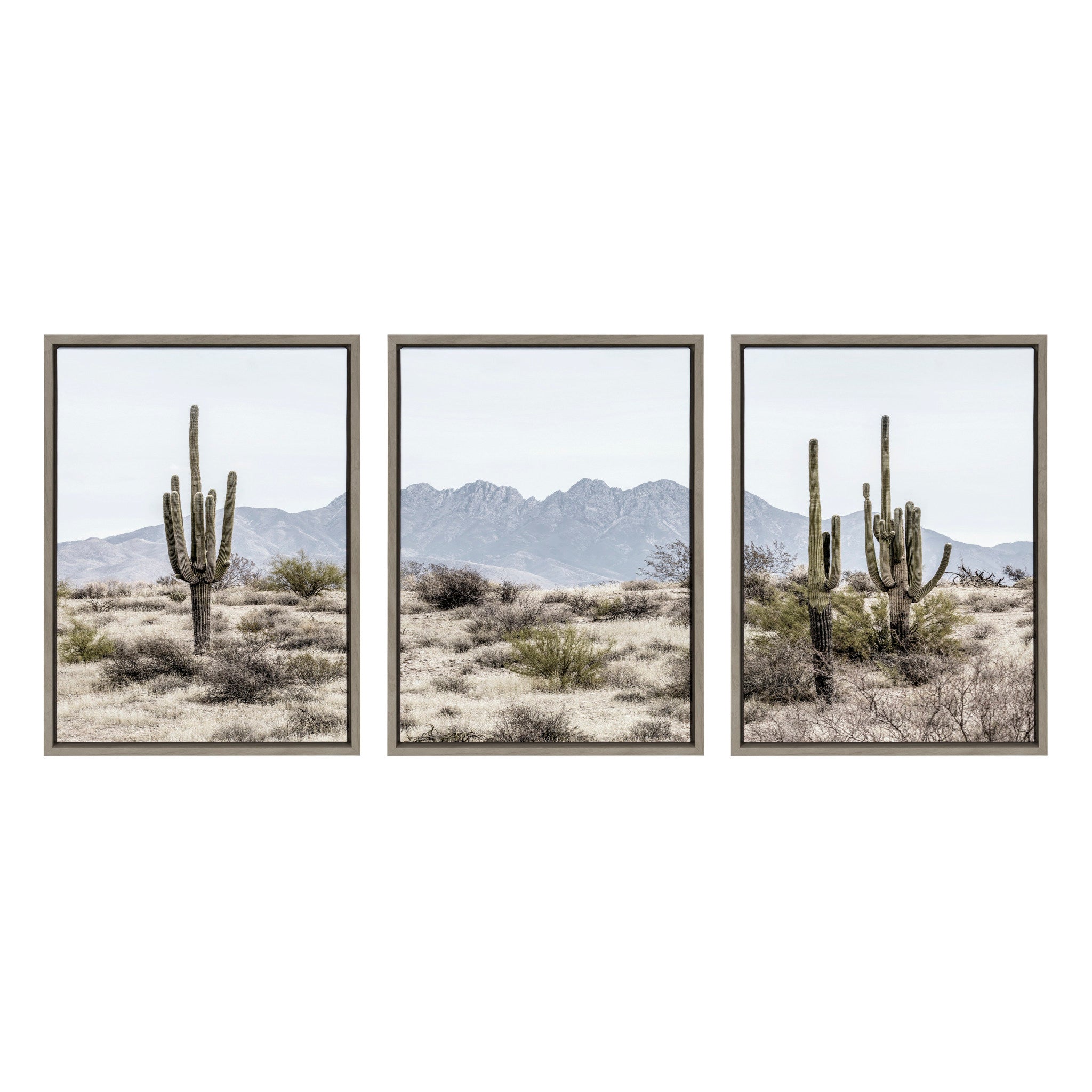 Sylvie Tall Saguaro Cacti Desert Mountain Left by kateandlaurel - product image 2 for Resin Society