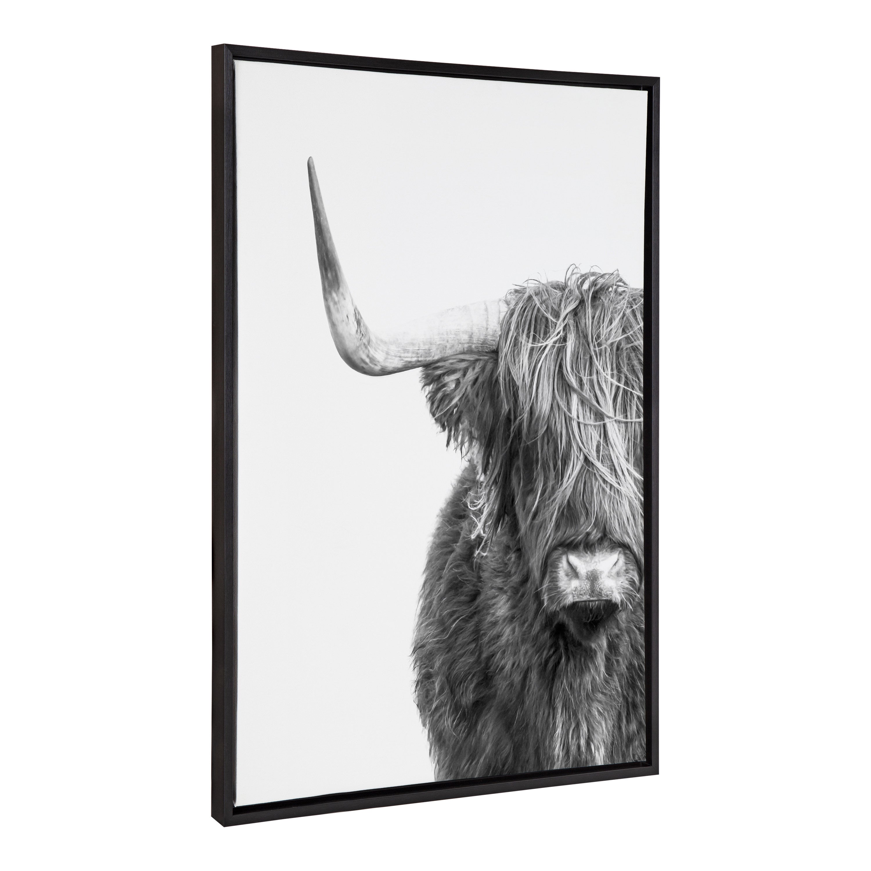 Sylvie B&W Highland Cow No. 1 Framed Canvas by Amy Peterson Art Studio
