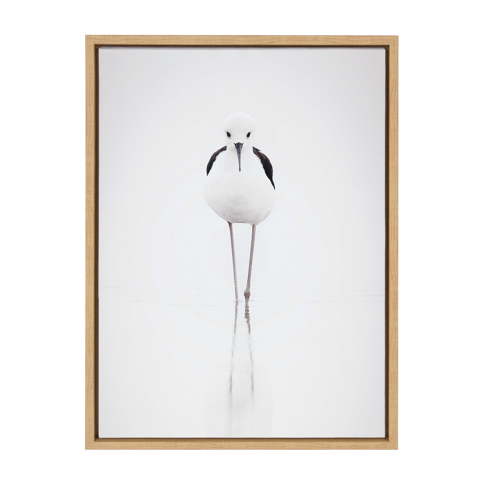 Sylvie Seagull Framed Canvas by Tai Prints by kateandlaurel - product image 2 for Resin Society
