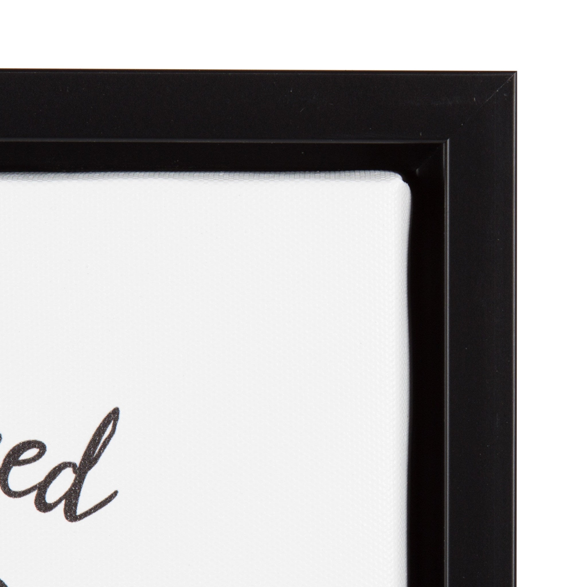 Sylvie Love and a Rottweiler Watercolor Framed Canvas, Black 11x14 by kateandlaurel - product image 3 for Resin Society