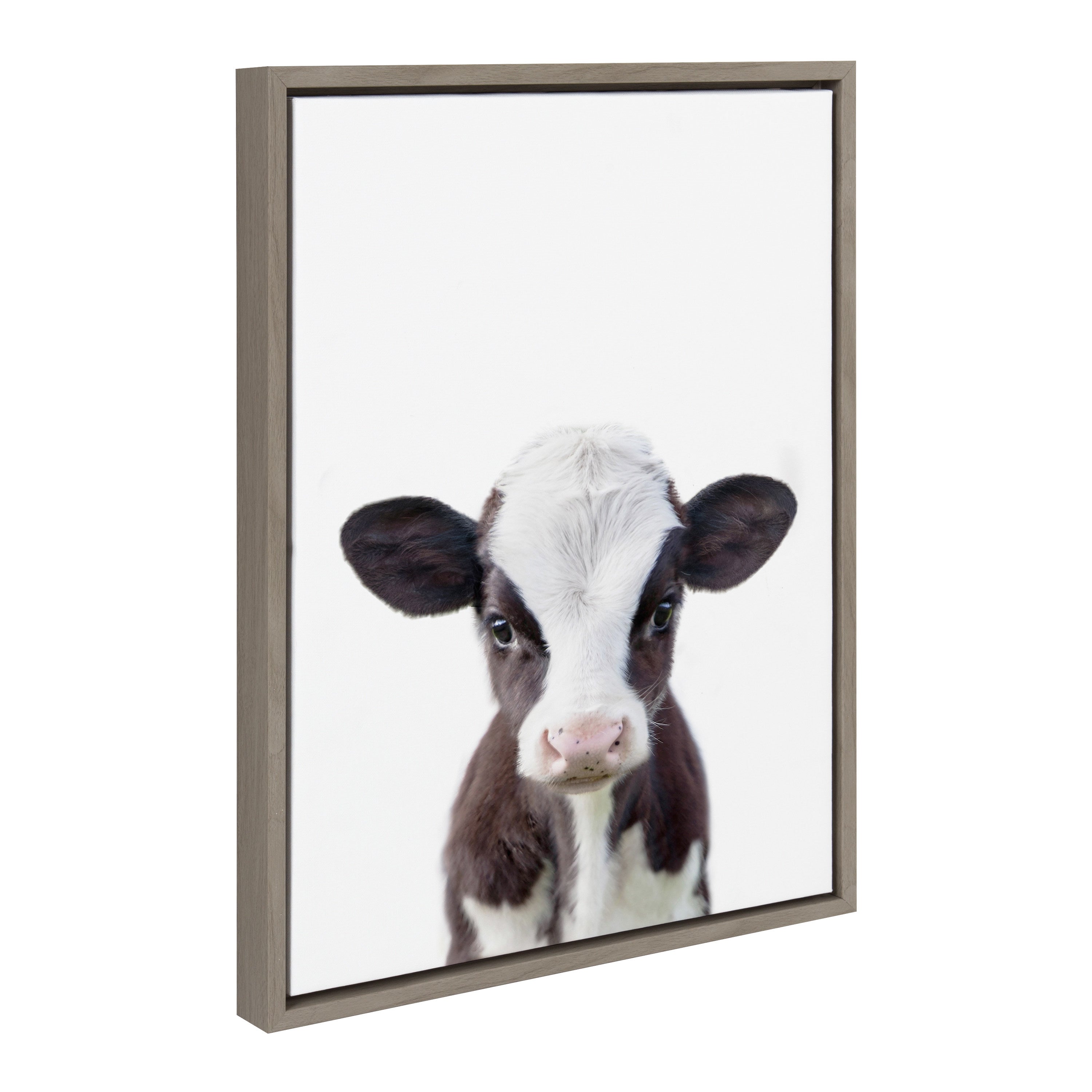 Sylvie Baby Cow Portrait Framed Canvas by Amy Peterson by kateandlaurel - main product image for Resin Society