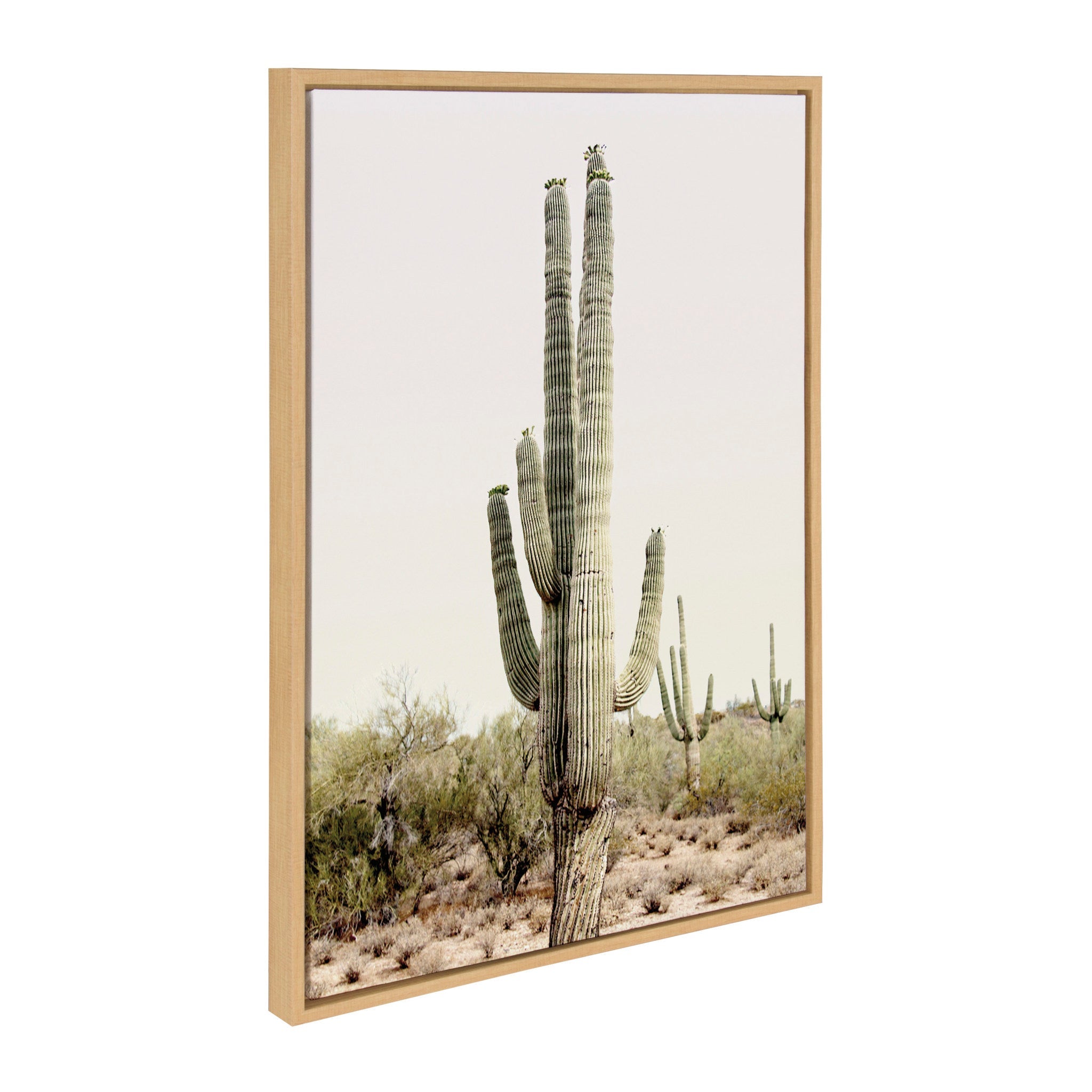 Sylvie Sunrise Cactus Framed Canvas by Amy Peterson Art Studio