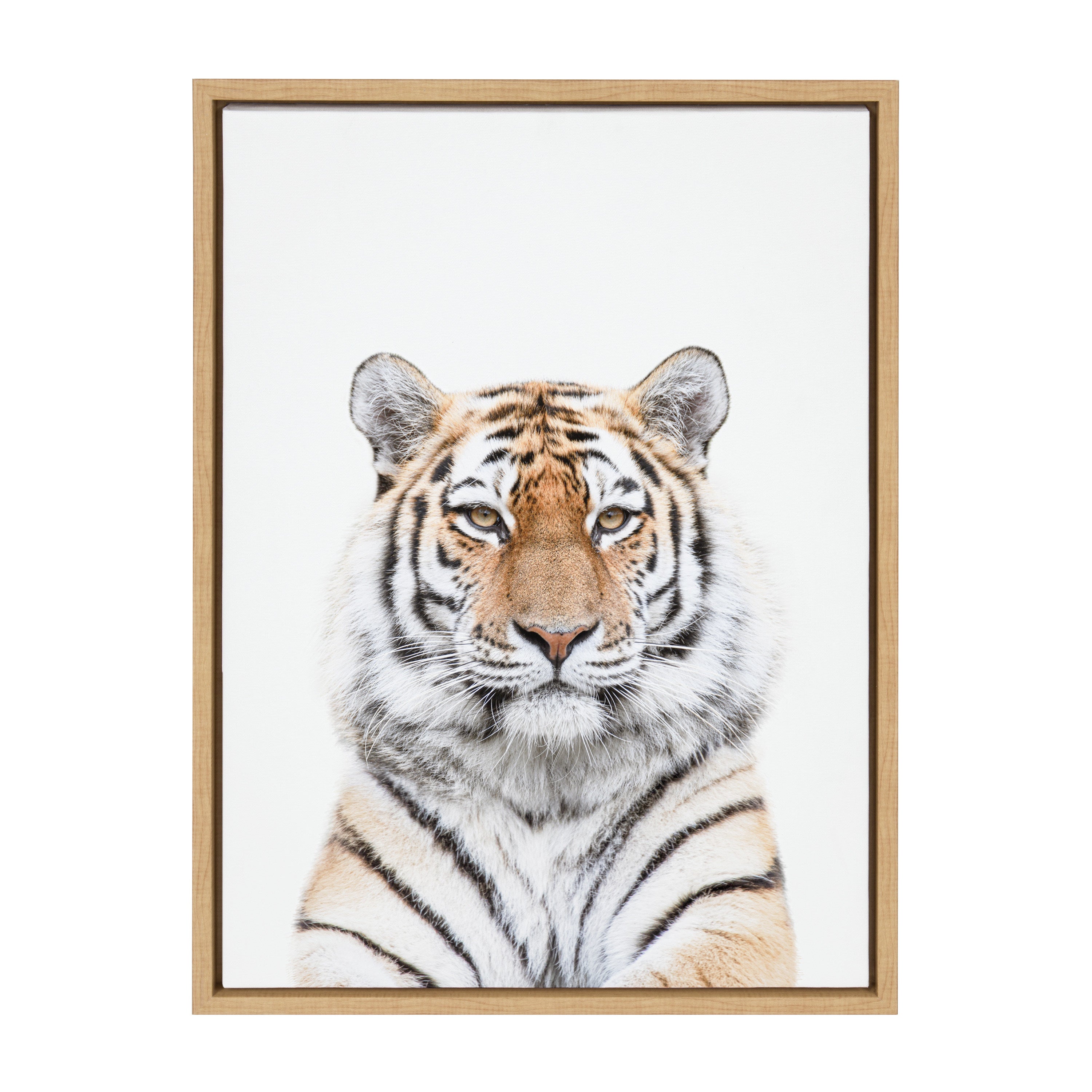 Sylvie Tiger Portrait Framed Canvas by Amy Peterson Art Studio