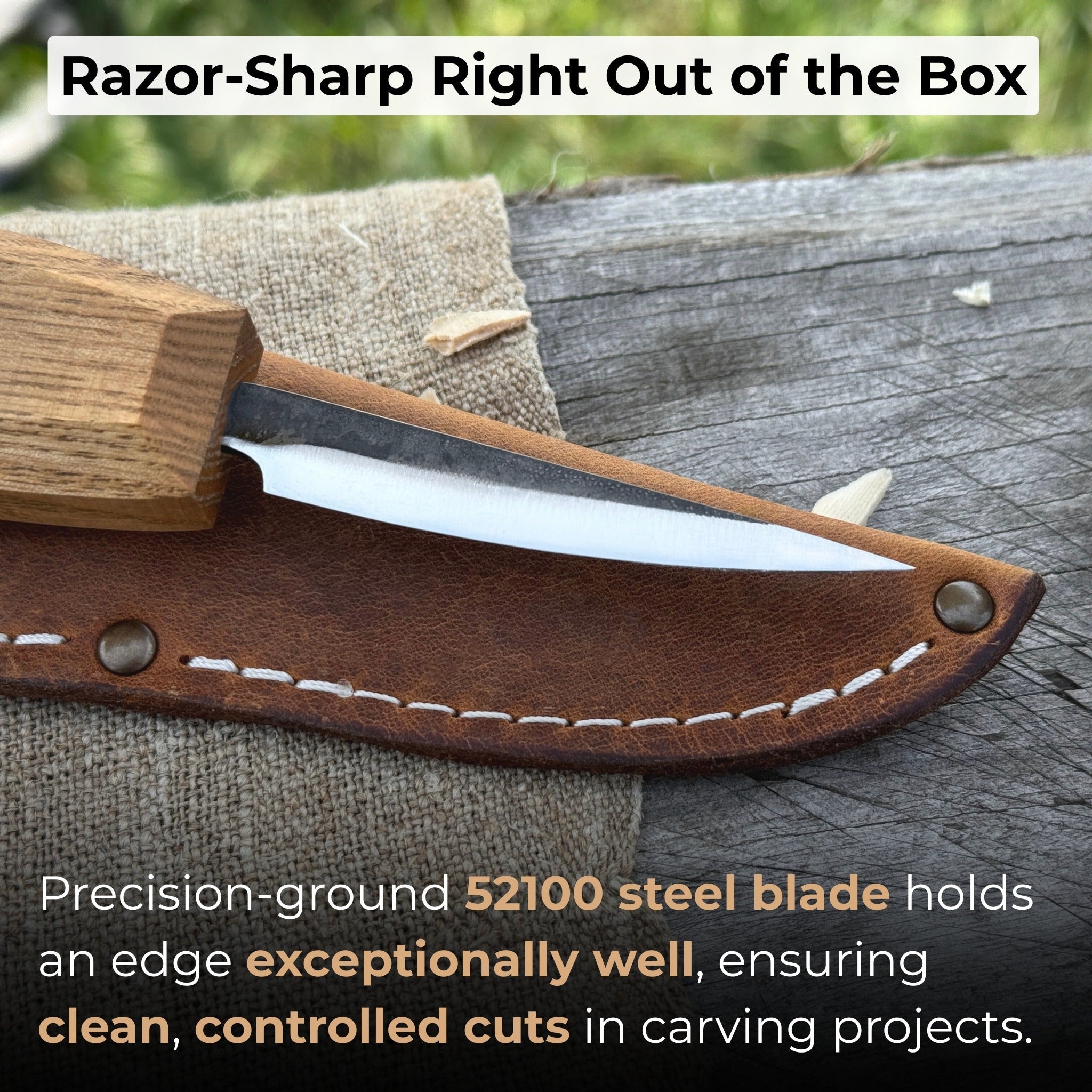 Small Sloyd Carving Knife with 6.5 cm blade and ash wood handle by Sharky Forged Steel Tools