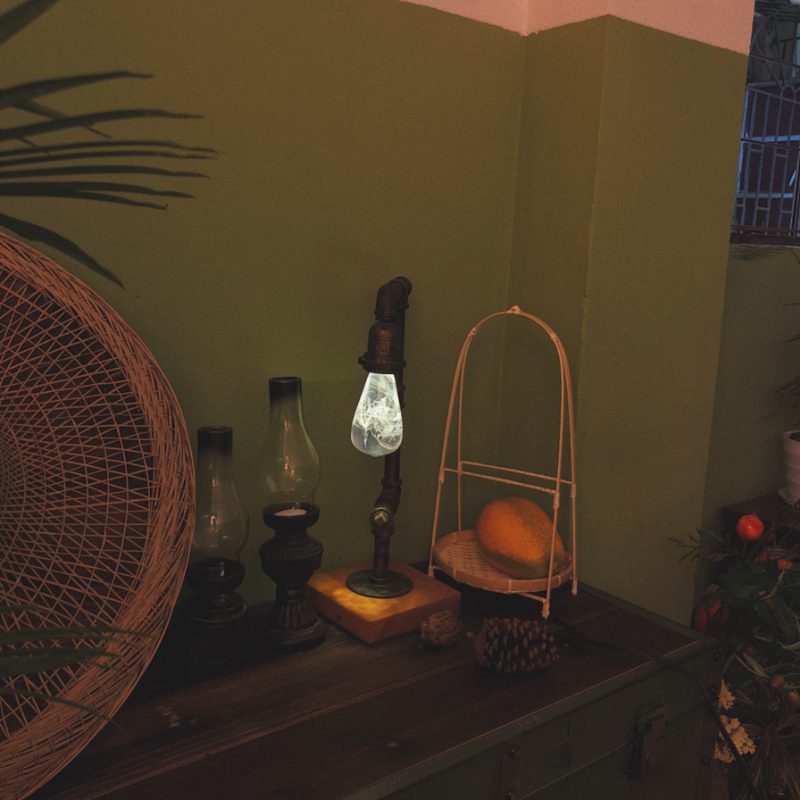 EP Light Snow Decorative Resin LED Bulb with unique handcrafted resin design