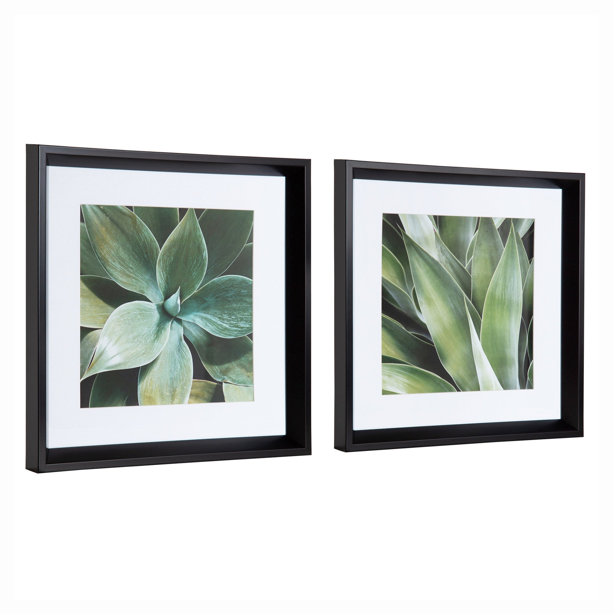 Calter Succulent Leaves Framed Print Art Set by Amy Peterson by kateandlaurel - product image 2 for Resin Society