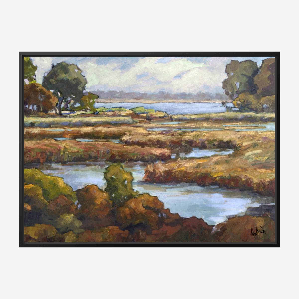 Spoonbill Marsh Artist Enhanced Canvas Print by John Beard Collection - product image 5 for Resin Society