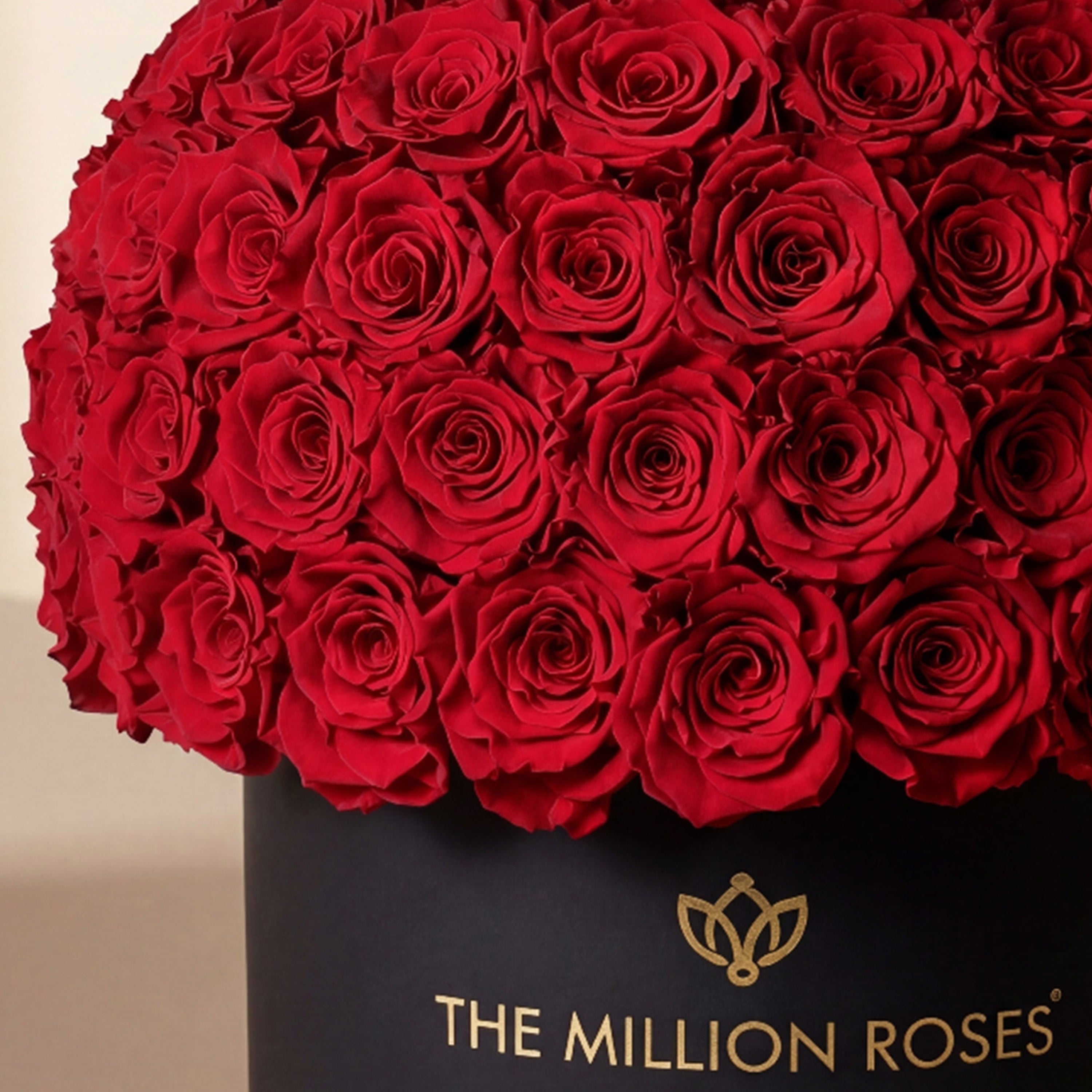 Supreme Black Superdome Box by The Million Roses - product image 3 for Resin Society