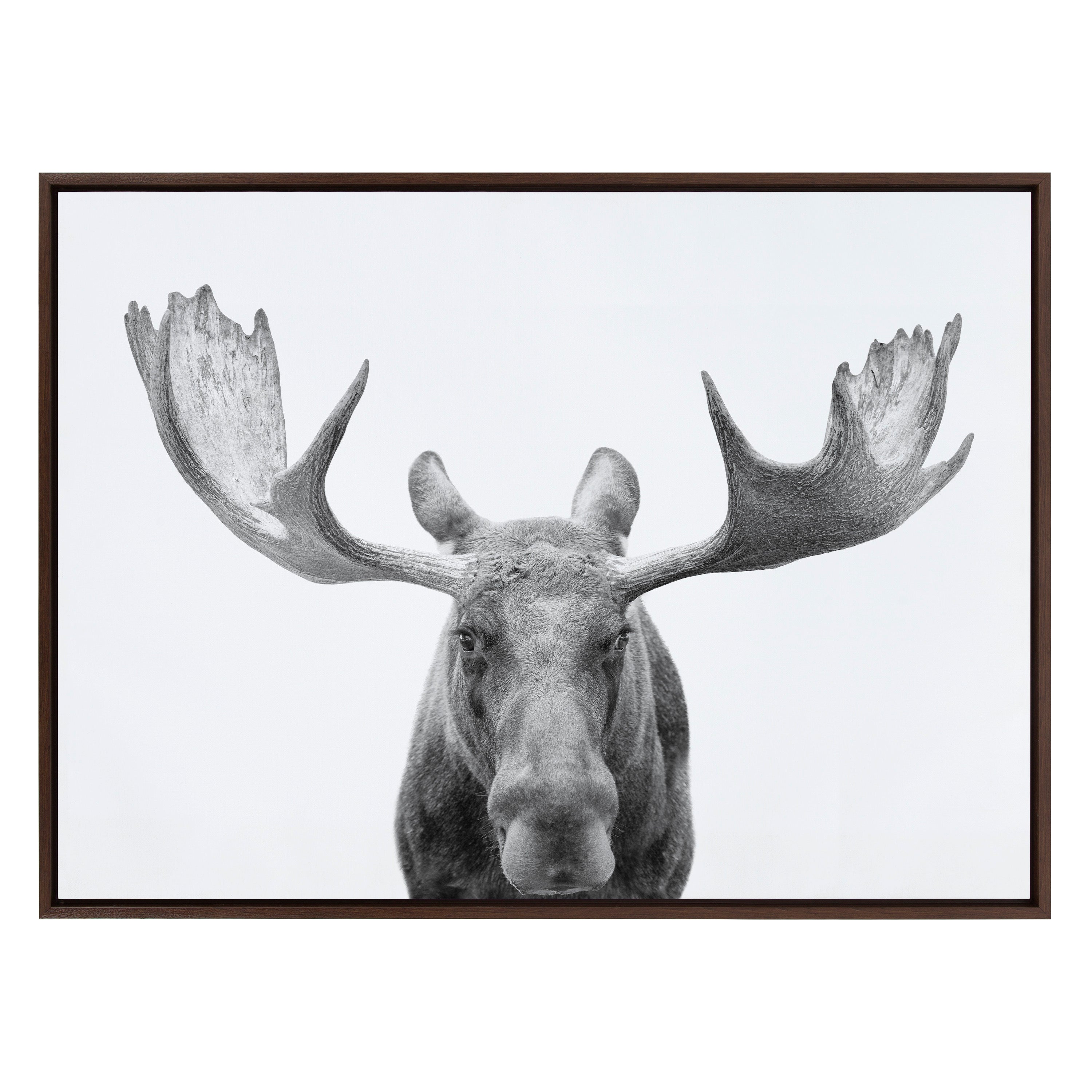 Sylvie Moose Black and White Framed Canvas by Amy Peterson Art Studio