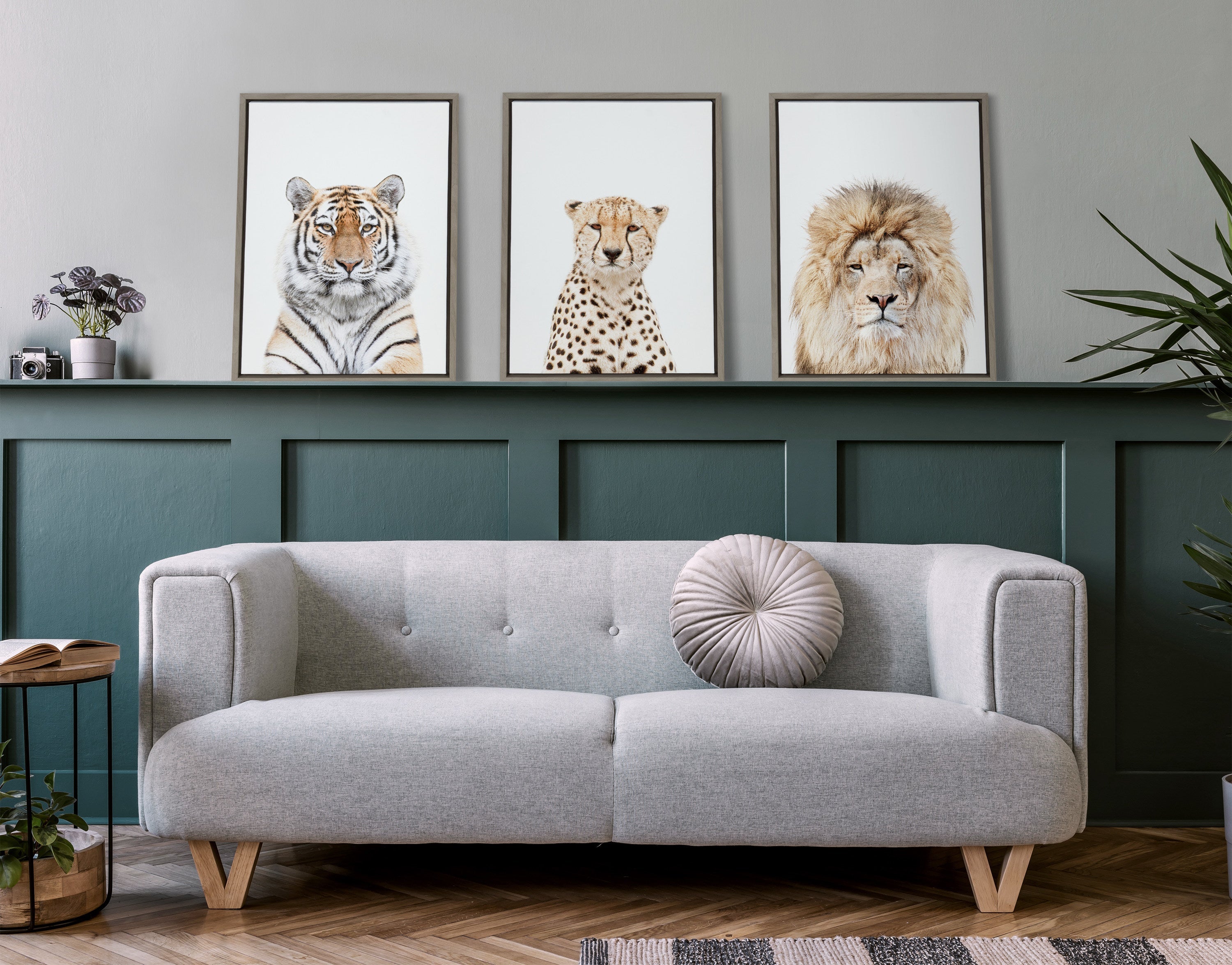 Sylvie Tiger Portrait Framed Canvas by Amy Peterson Art Studio