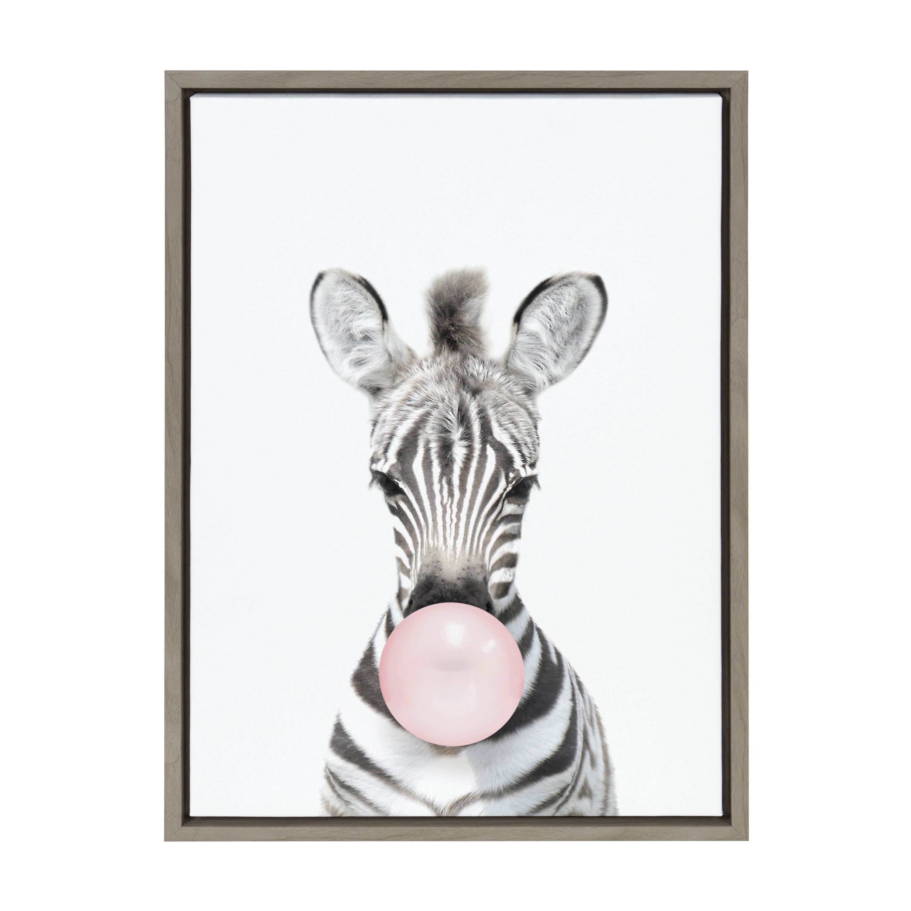 Sylvie Bubble Gum Zebra Framed Canvas by Amy Peterson Art Studio by kateandlaurel - product image 10 for Resin Society