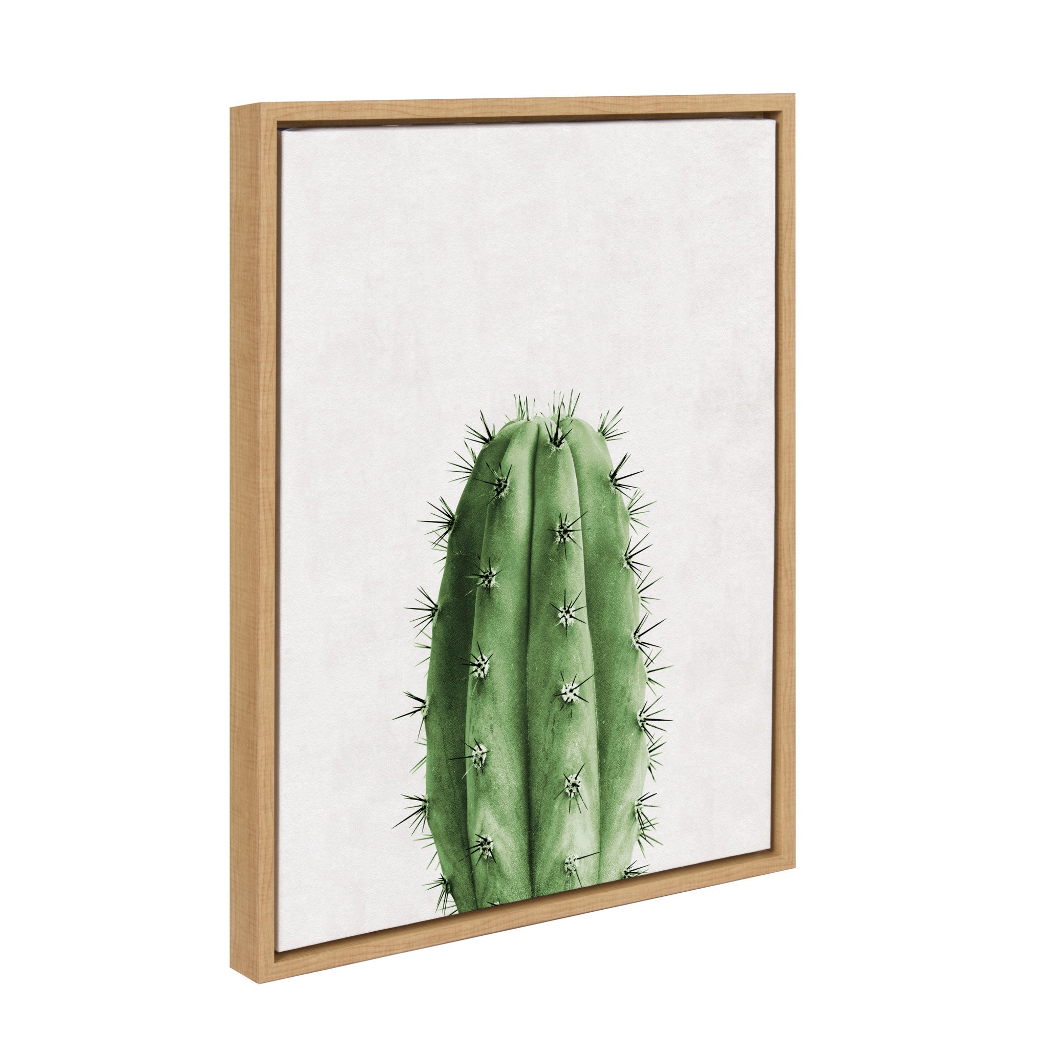 Sylvie Home Cactus Framed Canvas by Simon Te Tai by kateandlaurel - product image 2 for Resin Society